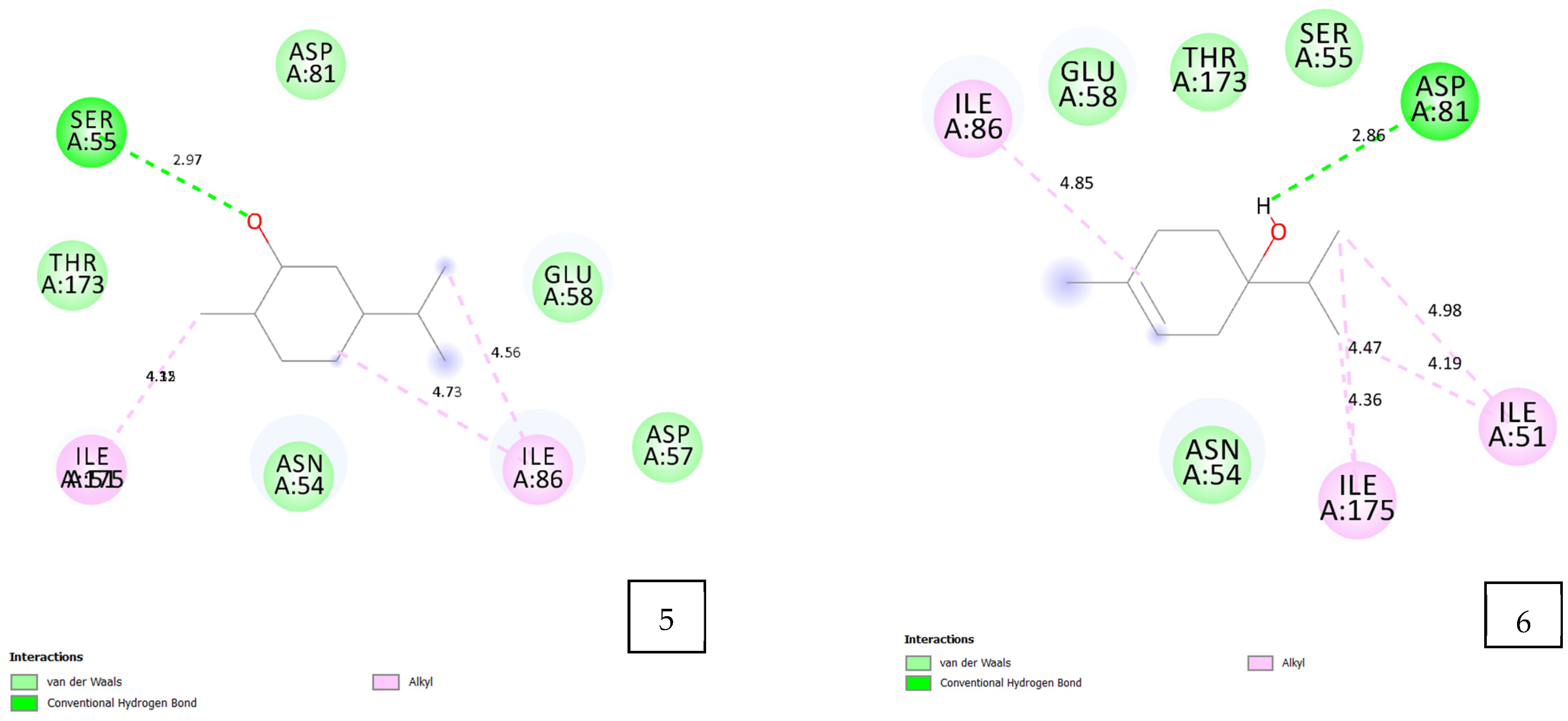 Pharmaceuticals 17 01552 g006b