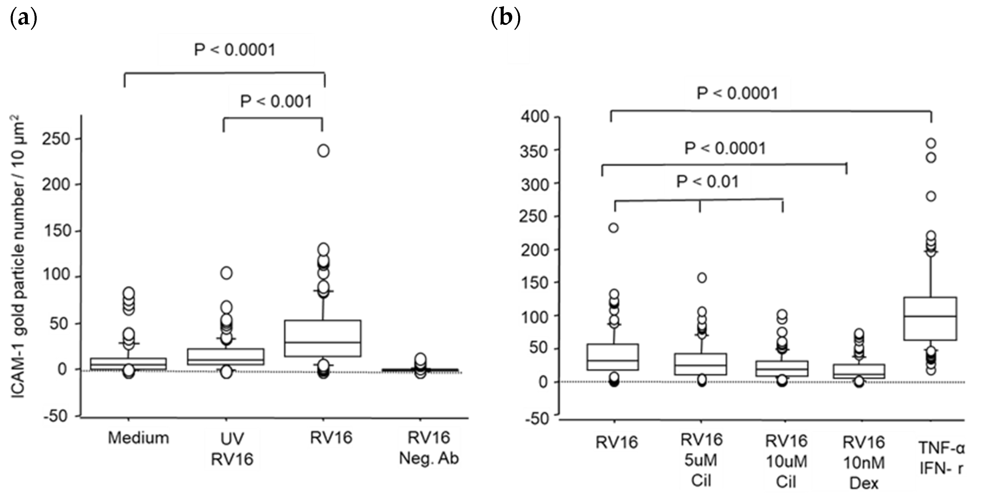 Pharmaceuticals 17 01554 g003