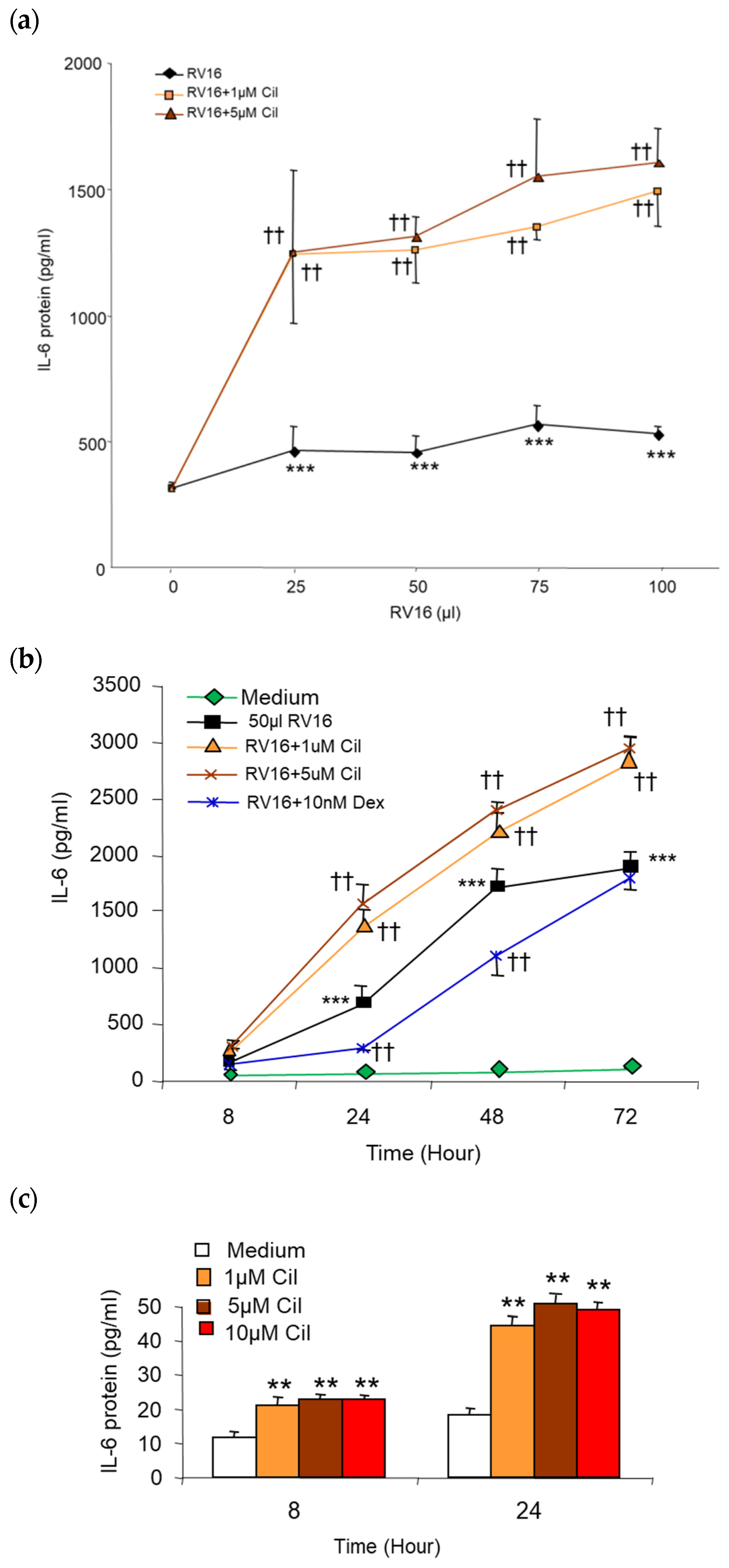 Pharmaceuticals 17 01554 g005
