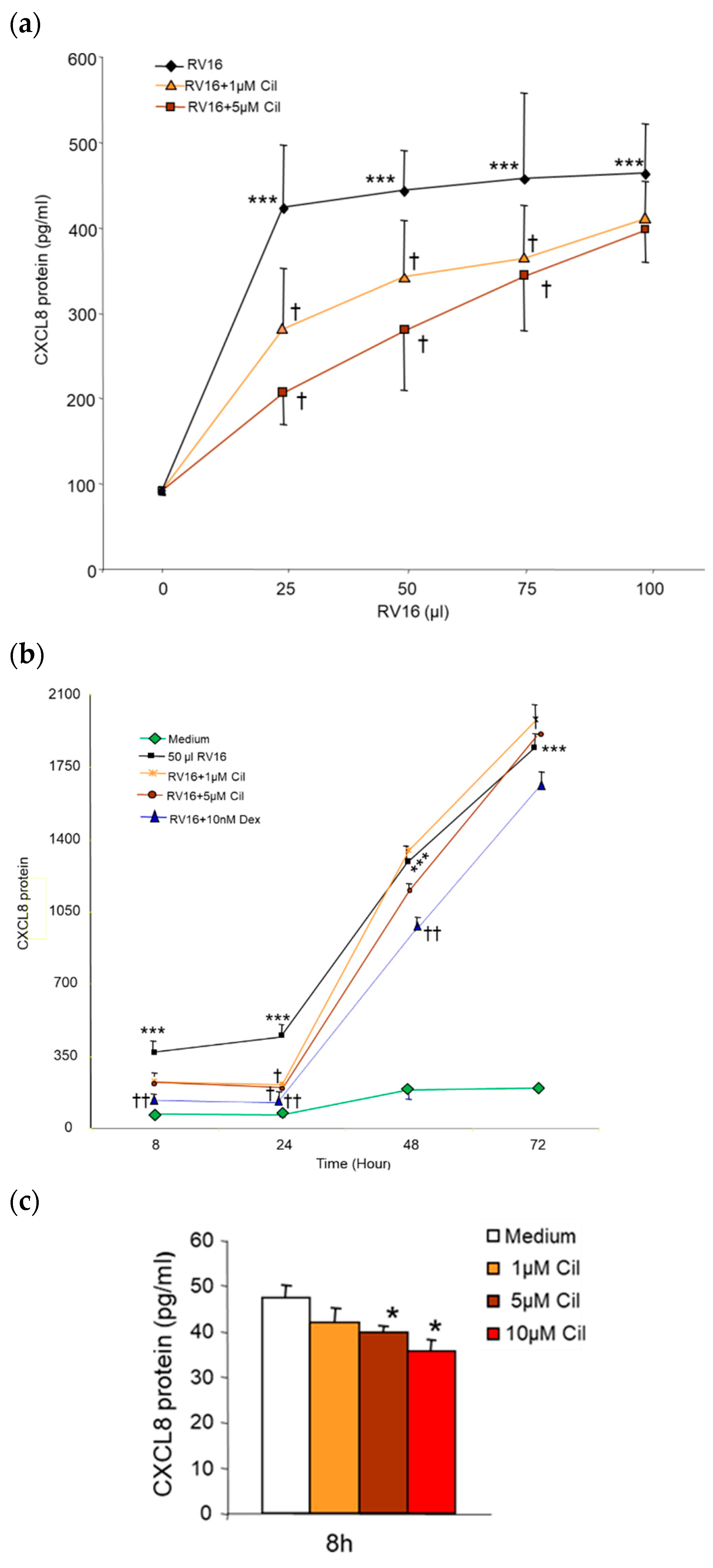 Pharmaceuticals 17 01554 g006