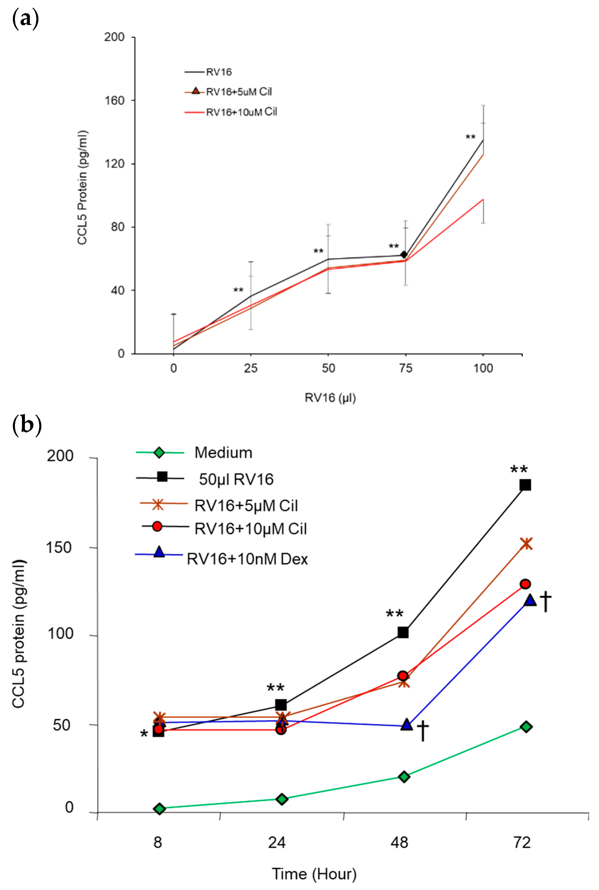 Pharmaceuticals 17 01554 g007