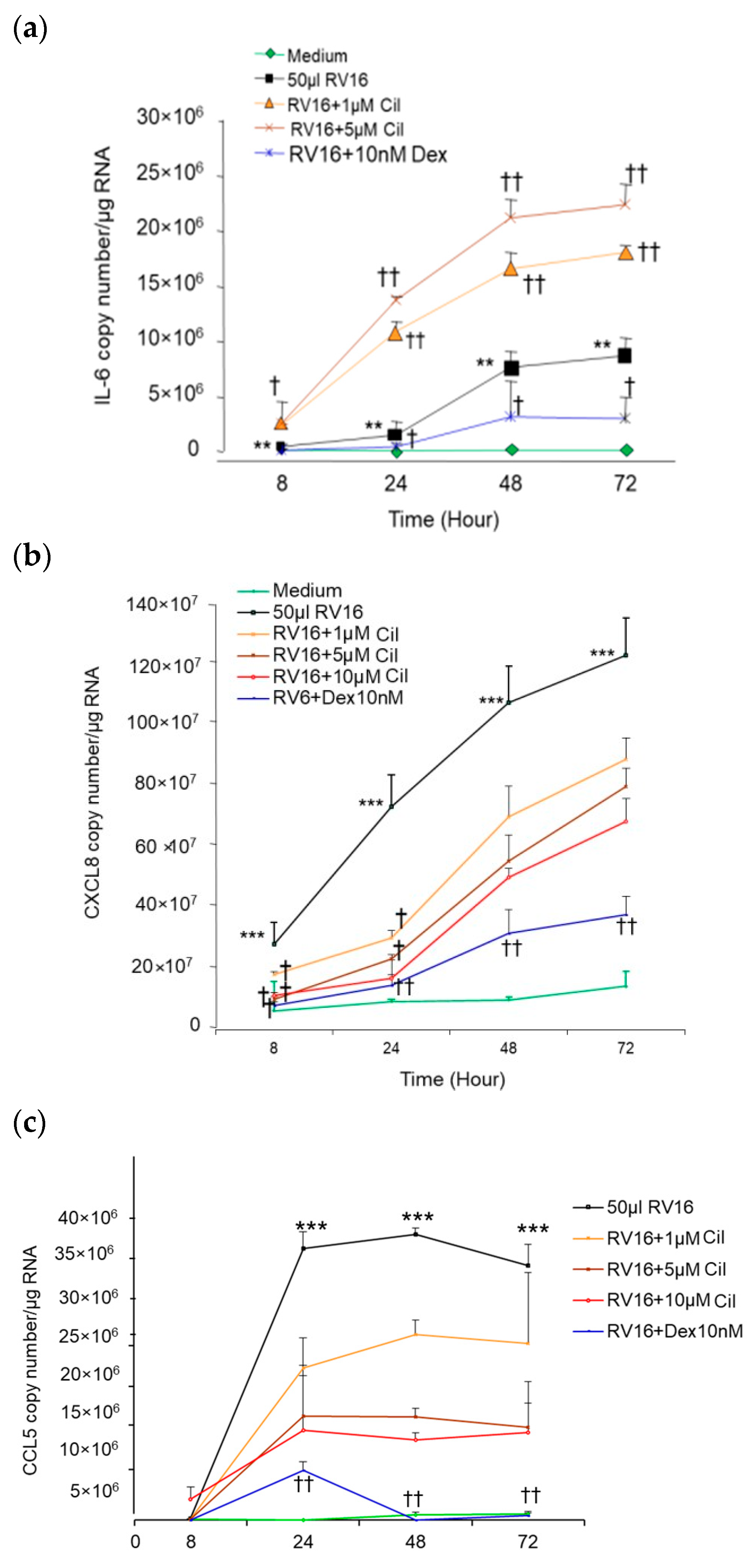 Pharmaceuticals 17 01554 g008