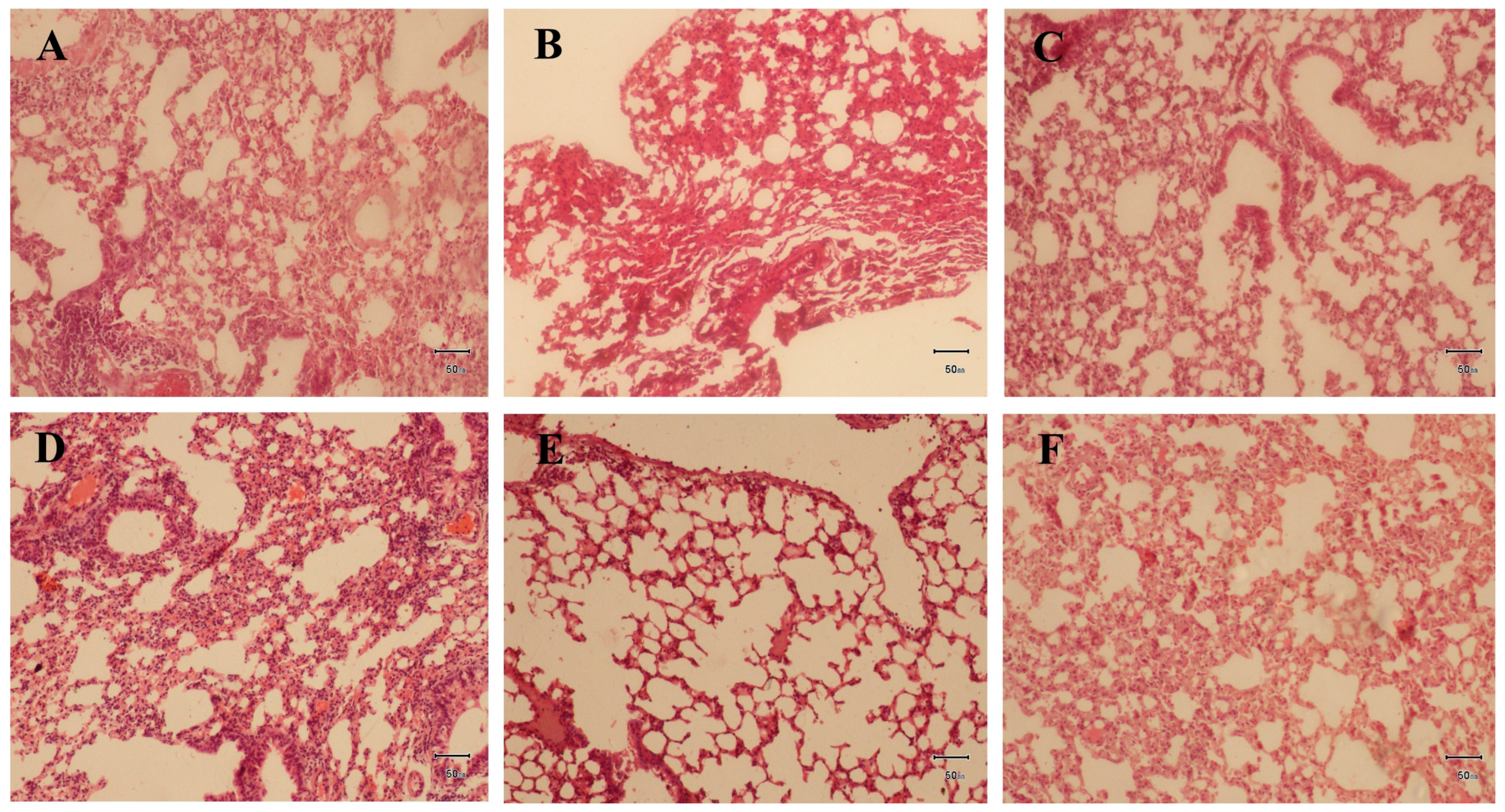 Pharmaceuticals 17 01558 g005 Pharmaceuticals 17 01558 g005