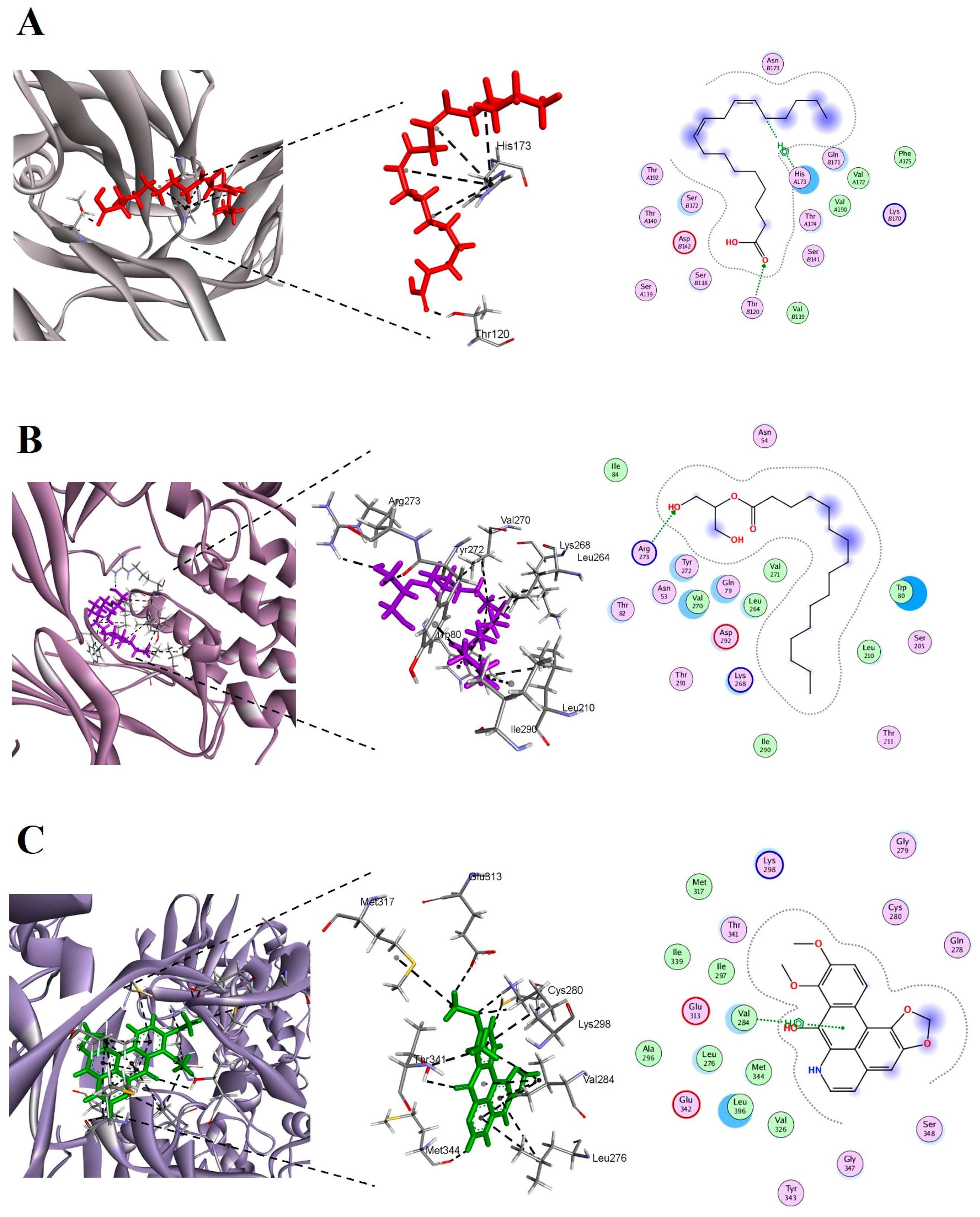 Pharmaceuticals 17 01558 g011 Pharmaceuticals 17 01558 g011