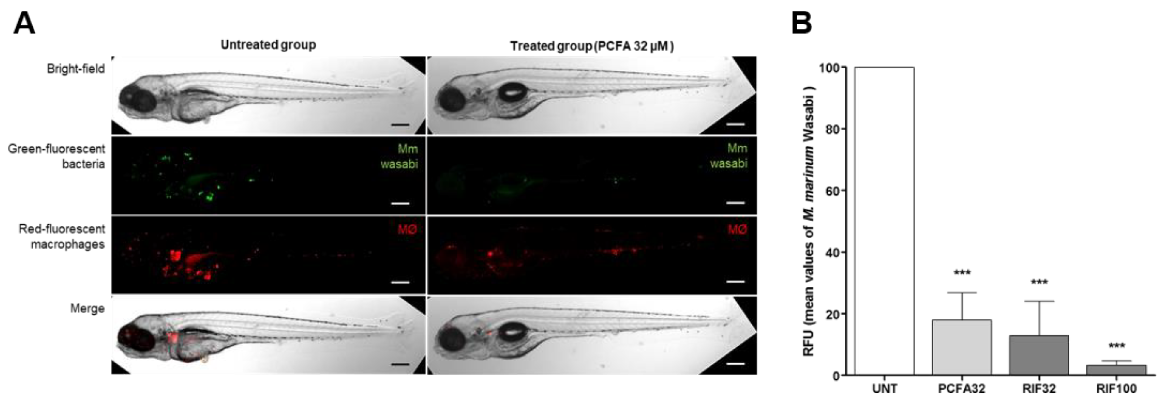 Pharmaceuticals 17 01560 g007