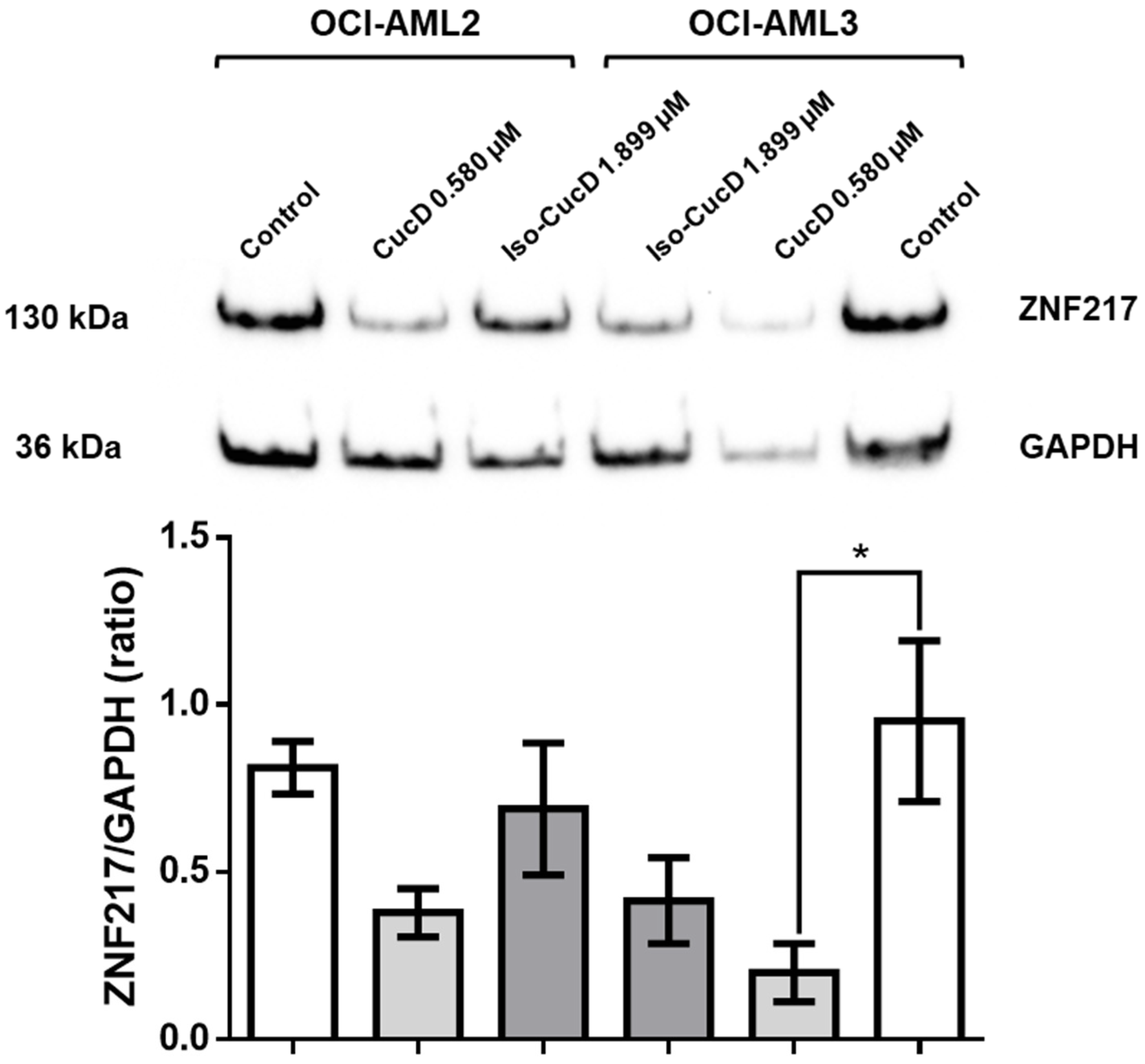 Pharmaceuticals 17 01561 g008
