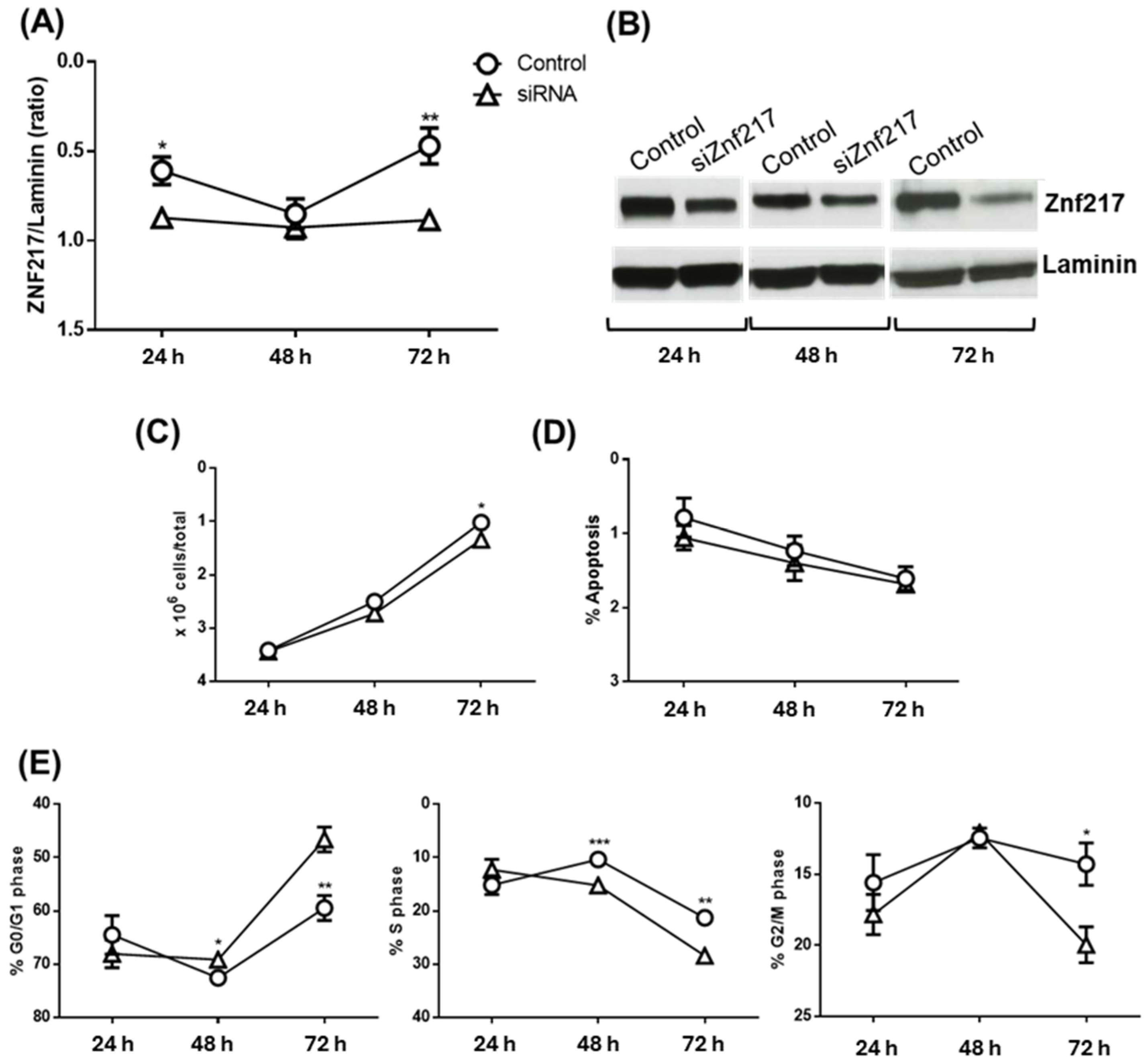 Pharmaceuticals 17 01561 g009