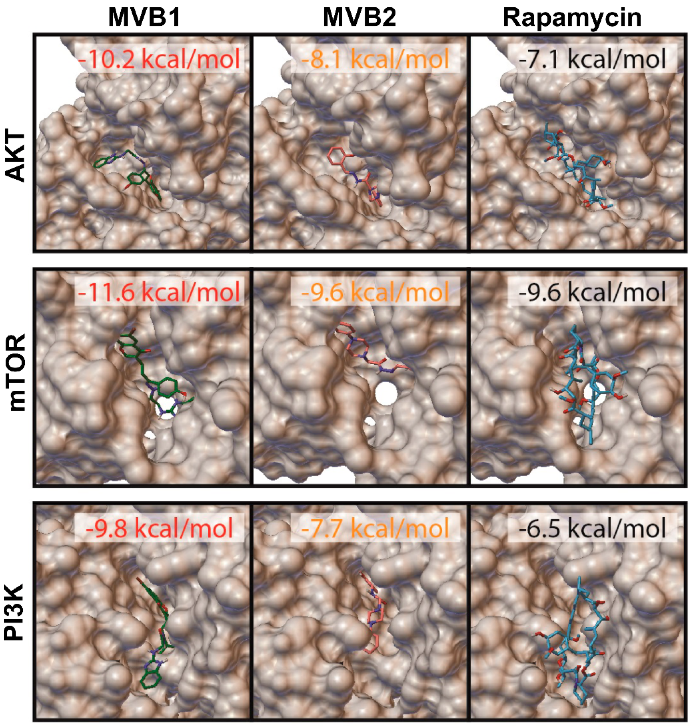 Pharmaceuticals 17 01562 g003