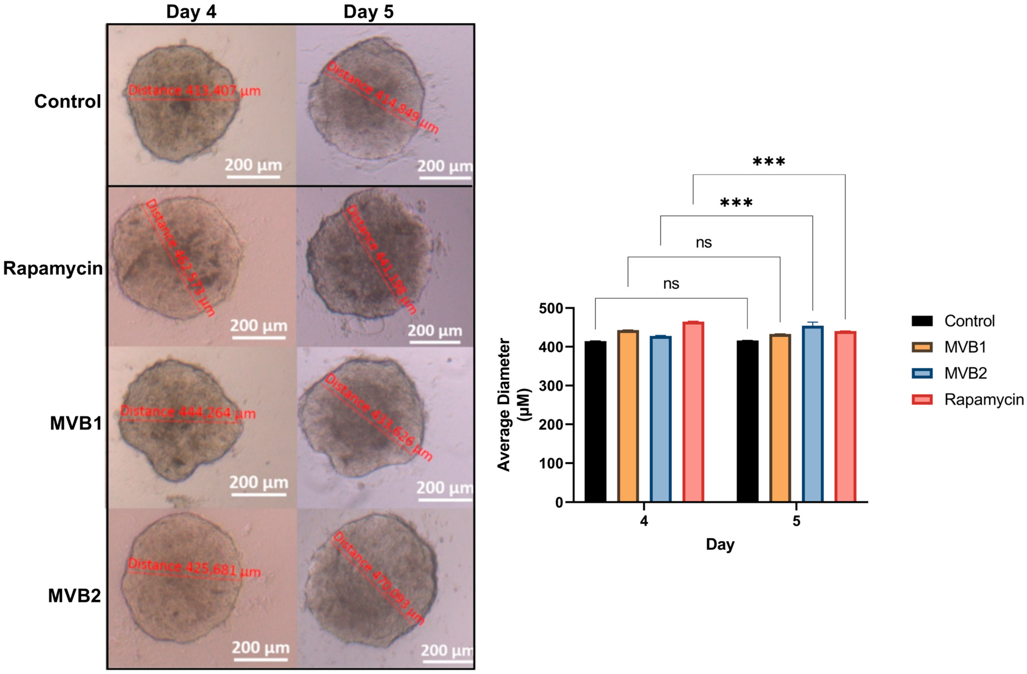 Pharmaceuticals 17 01562 g005