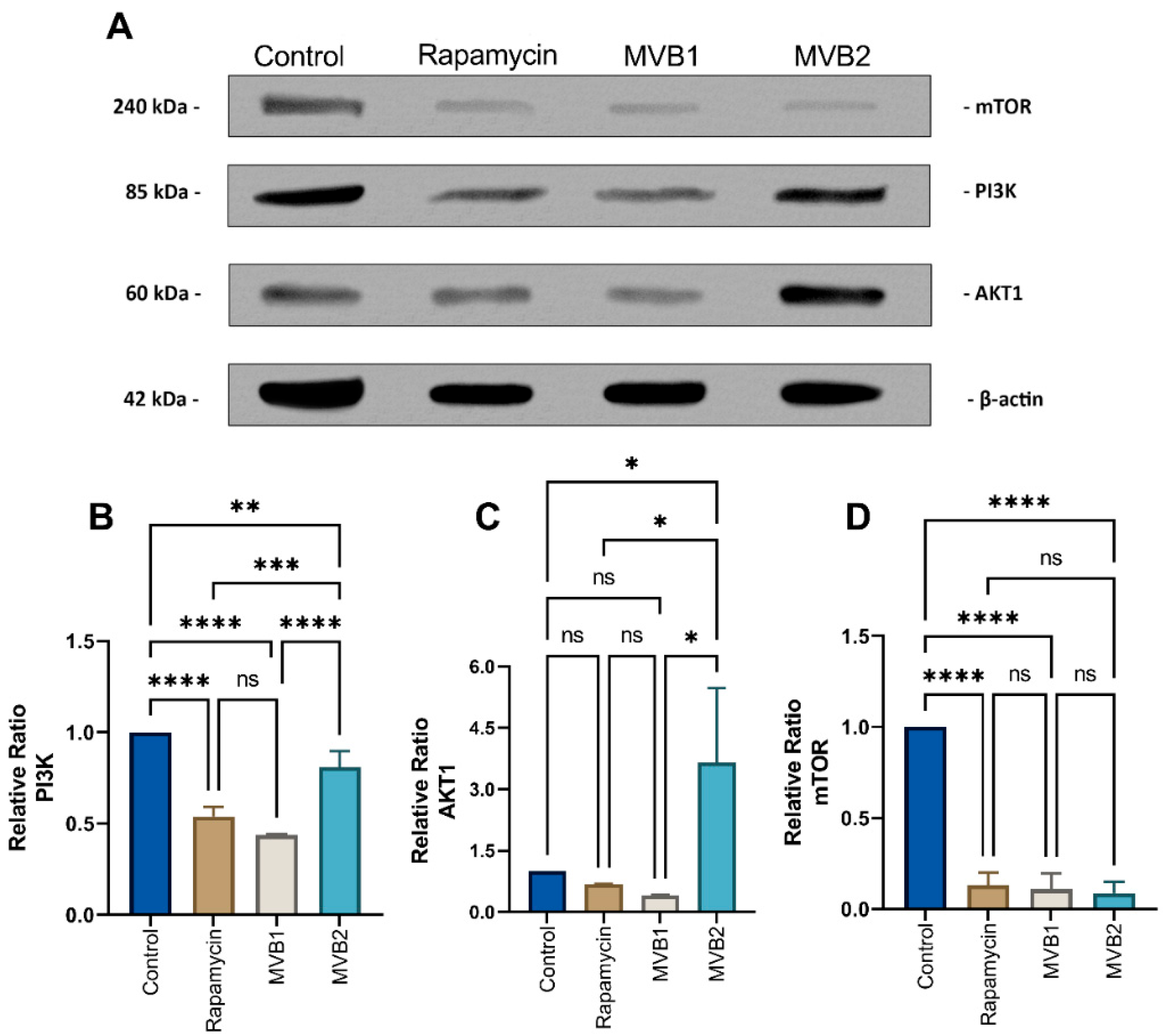 Pharmaceuticals 17 01562 g008