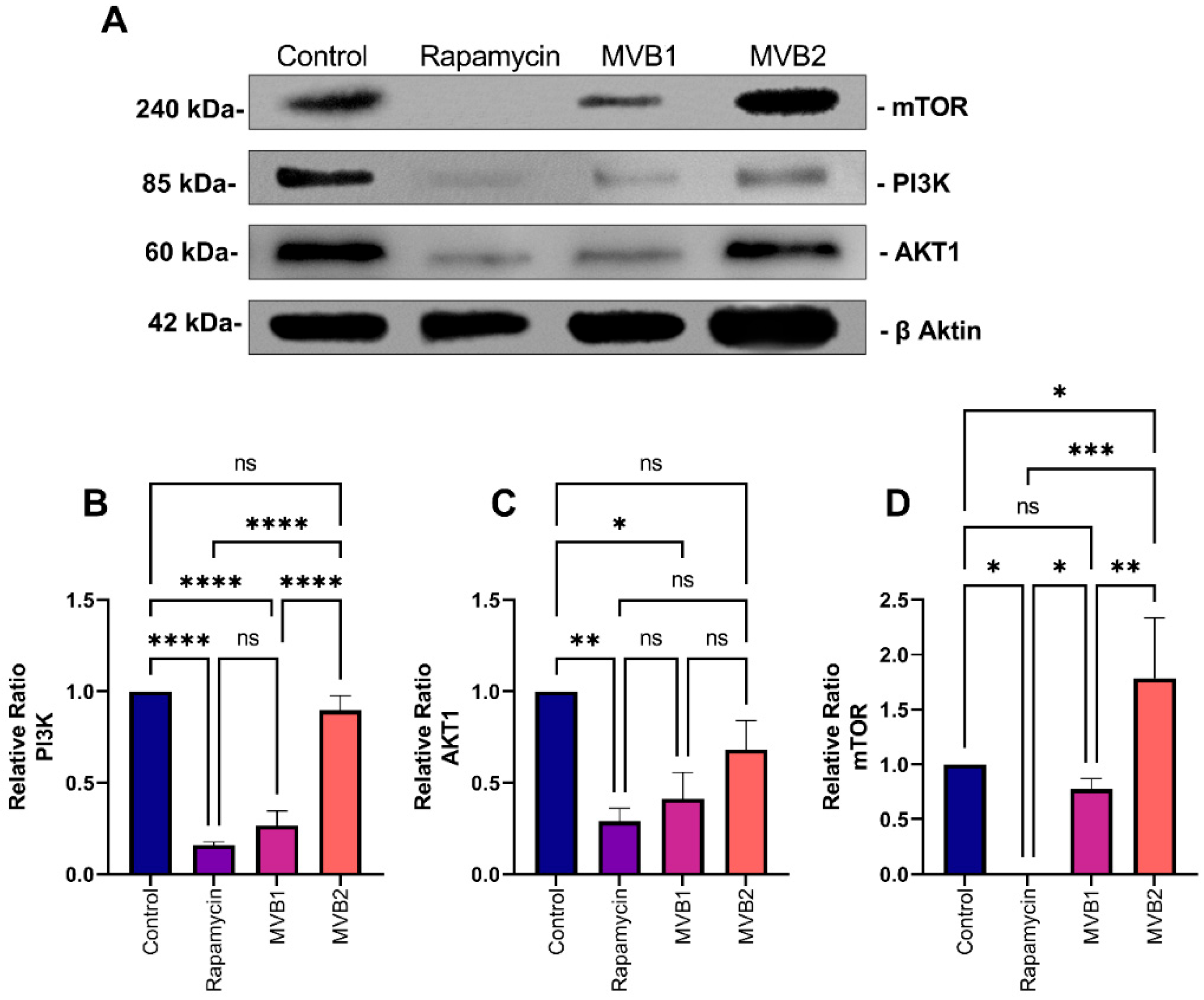 Pharmaceuticals 17 01562 g009