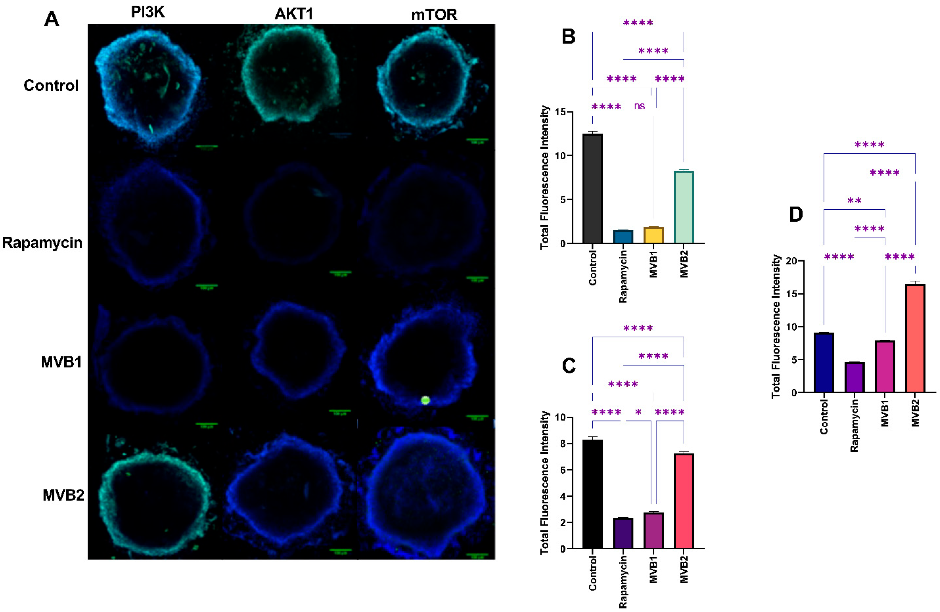 Pharmaceuticals 17 01562 g011