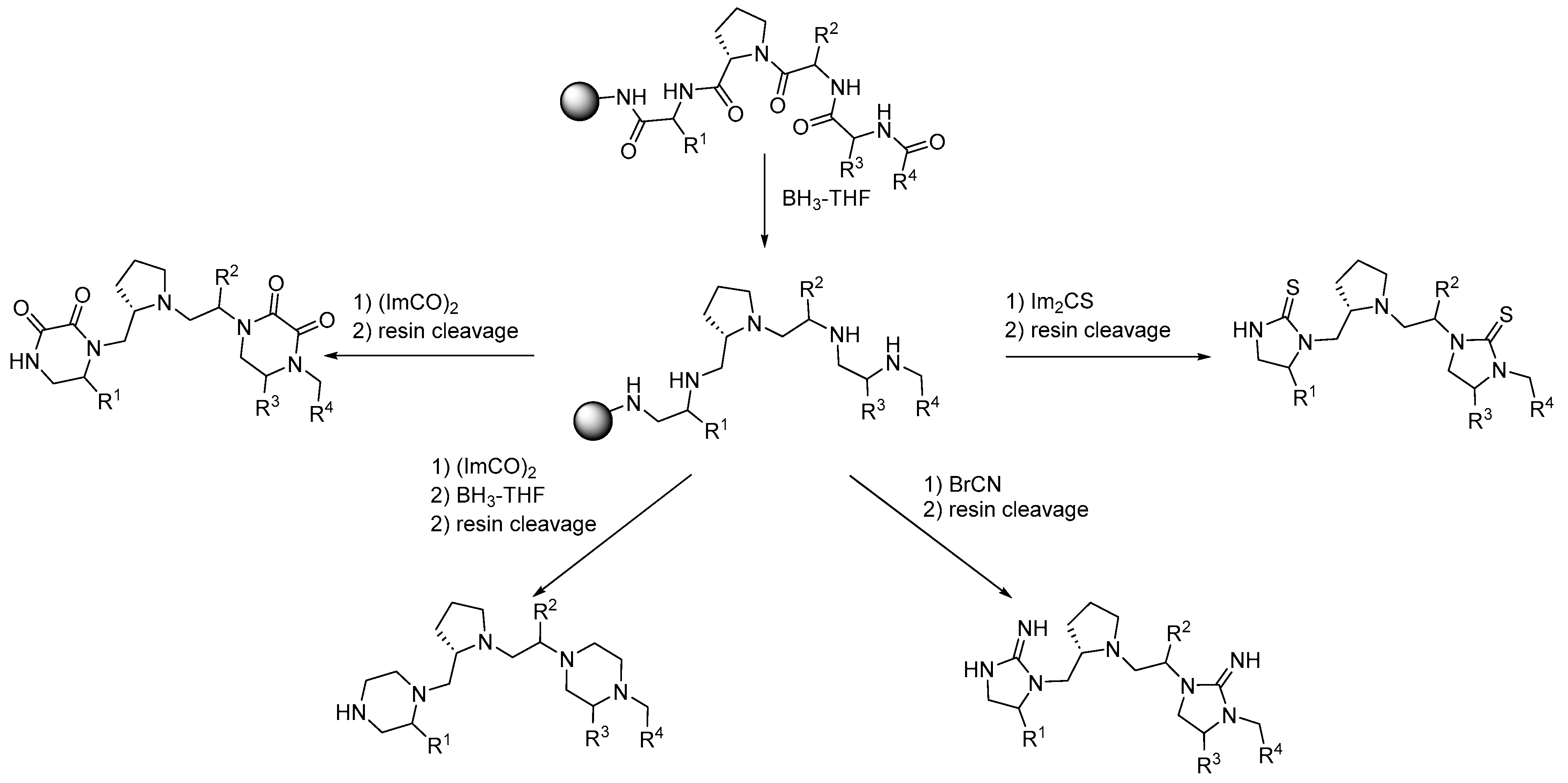 Pharmaceuticals 17 01566 sch008 Pharmaceuticals 17 01566 sch008