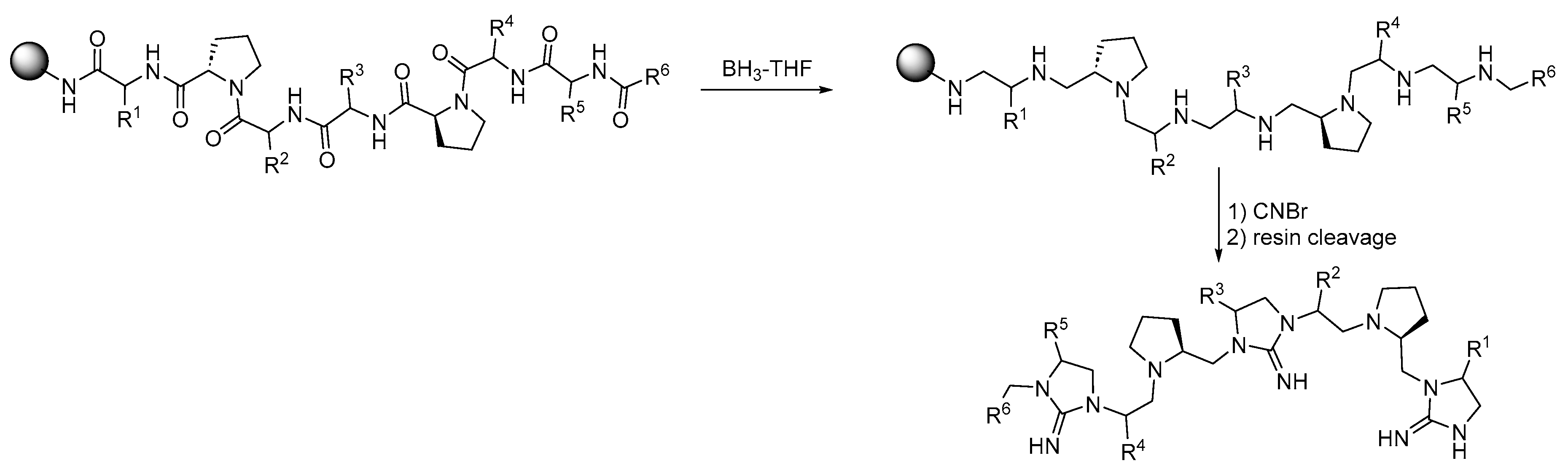 Pharmaceuticals 17 01566 sch012 Pharmaceuticals 17 01566 sch012