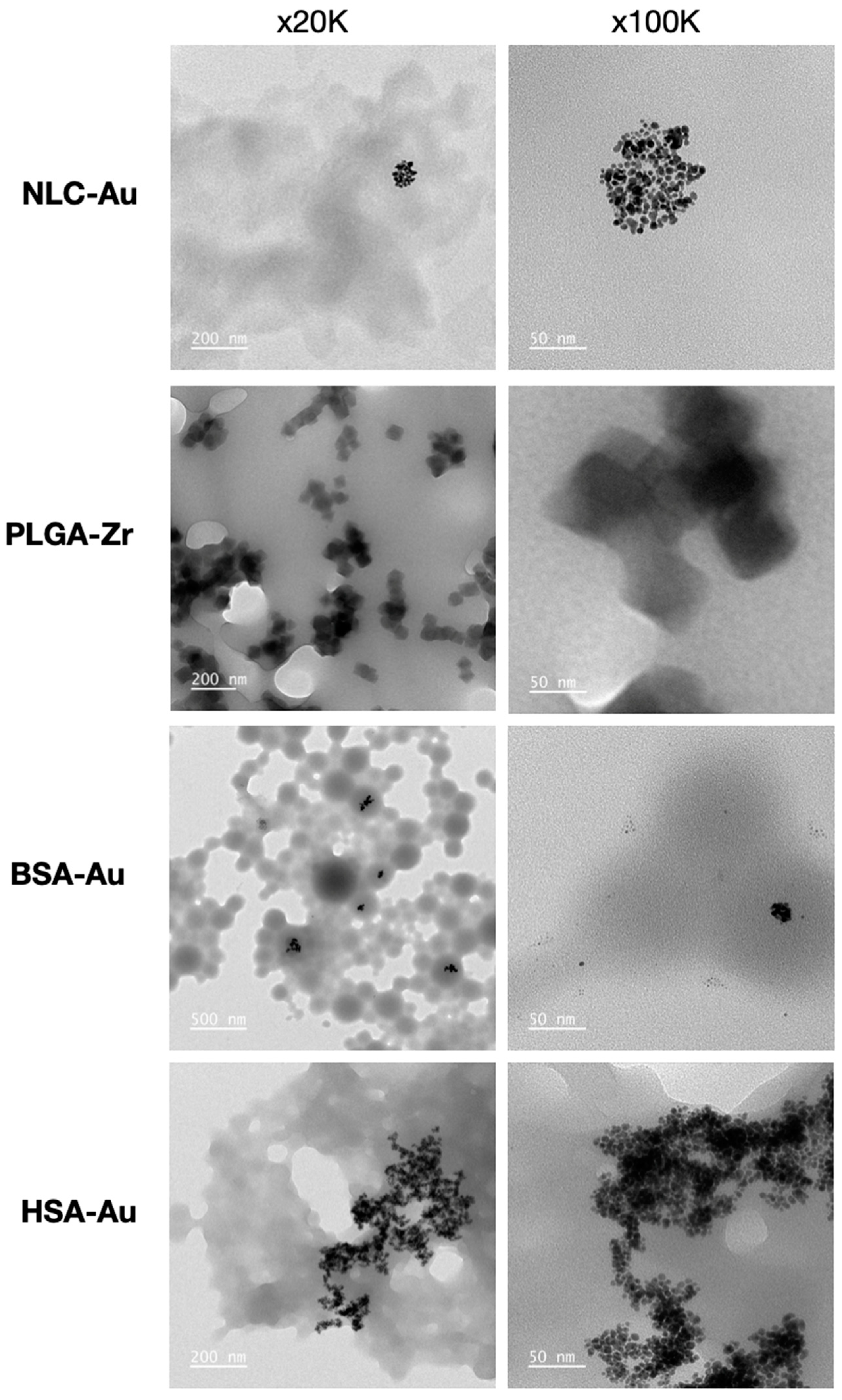 Pharmaceuticals 17 01567 g002