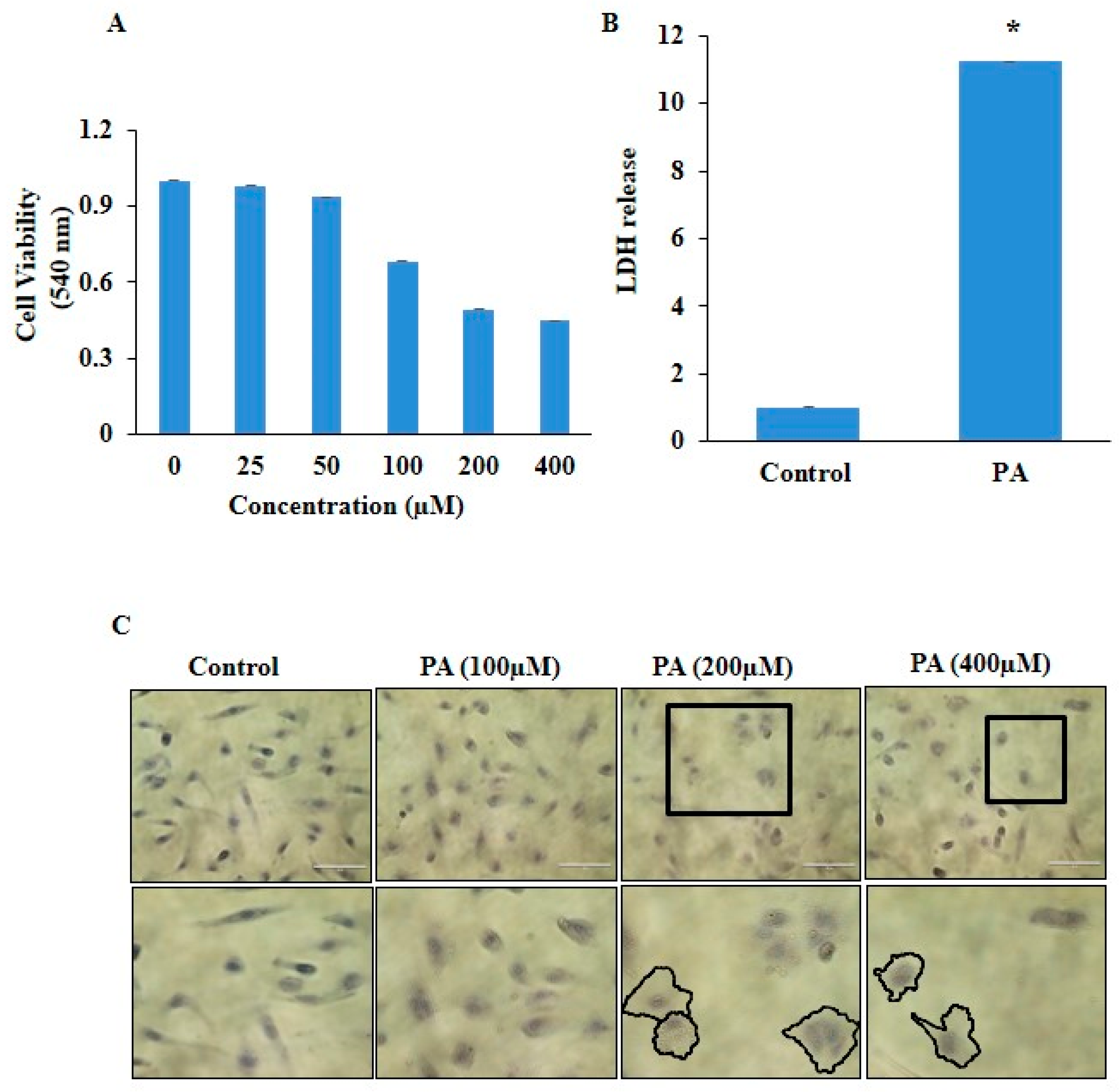 Pharmaceuticals 17 01568 g001