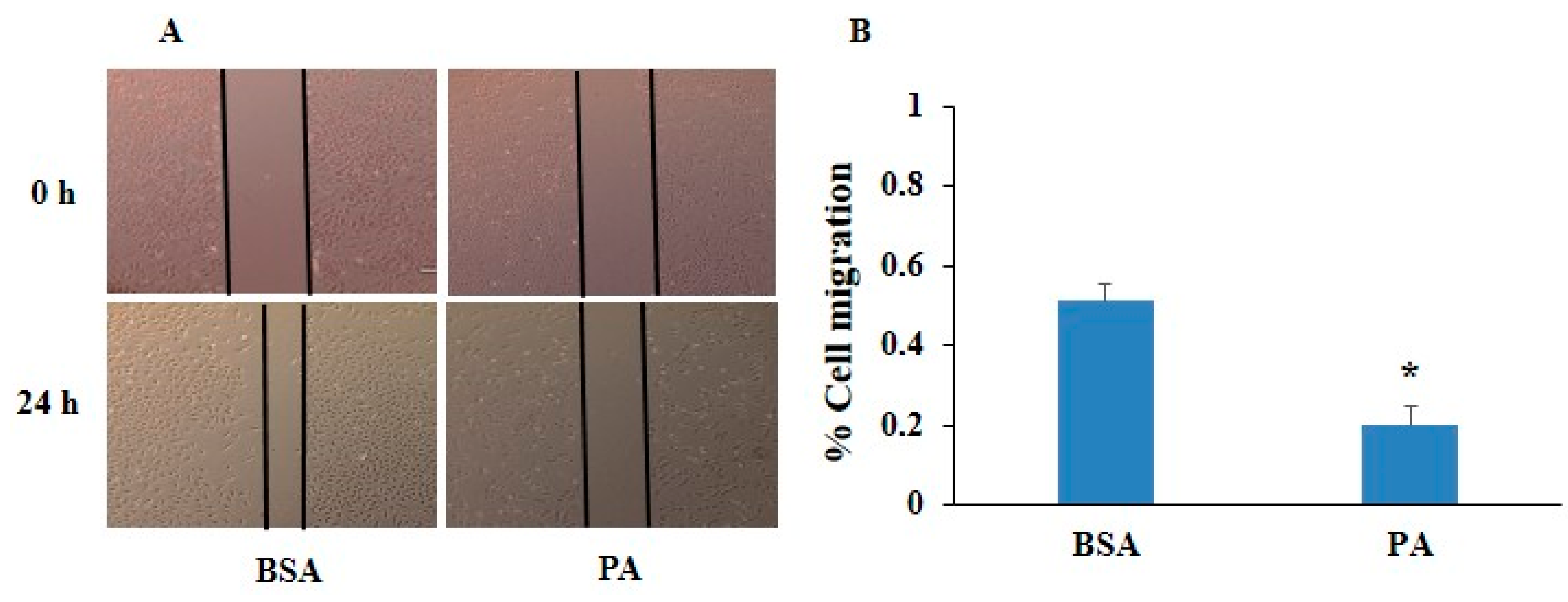 Pharmaceuticals 17 01568 g002a