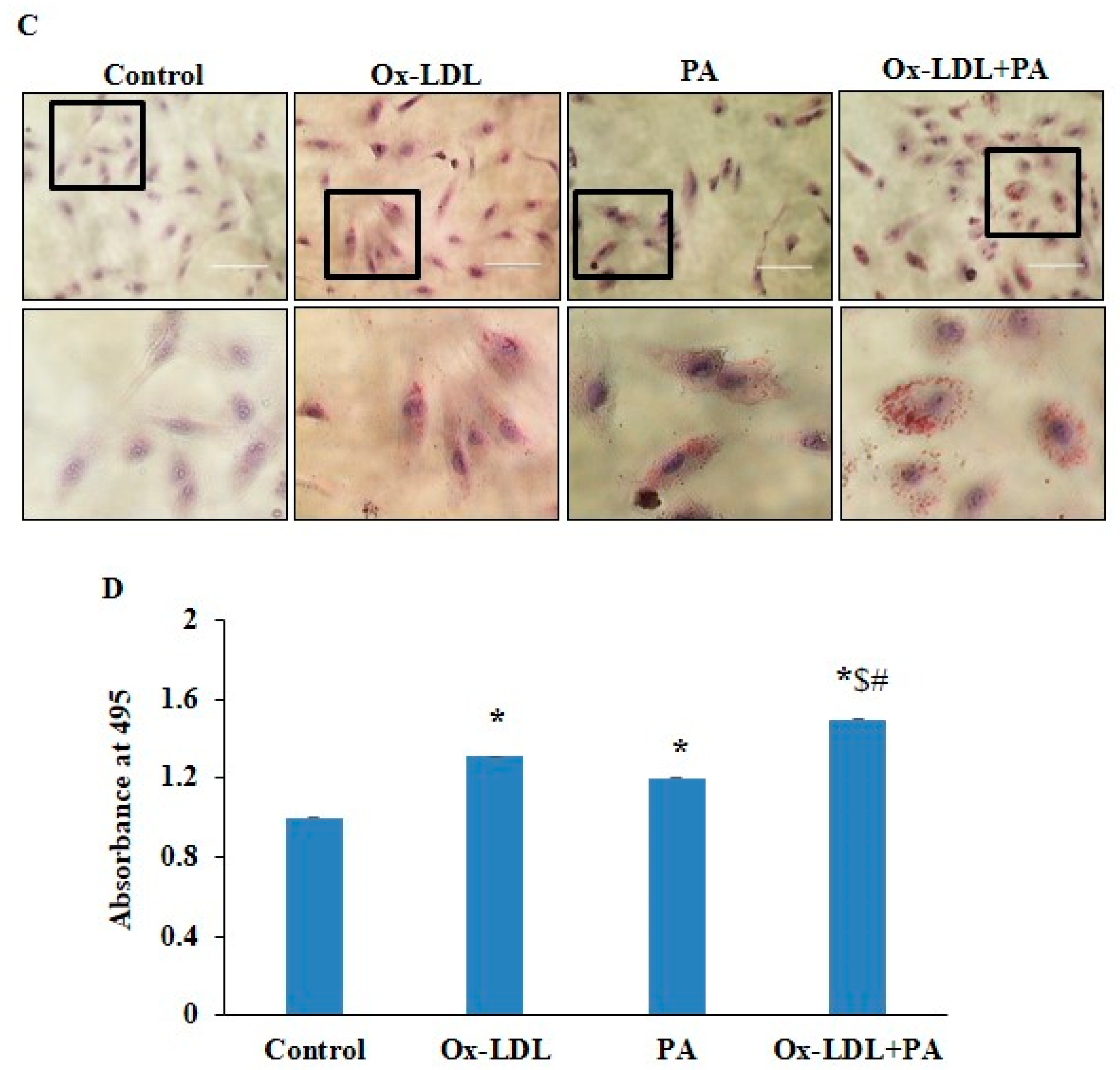 Pharmaceuticals 17 01568 g002b