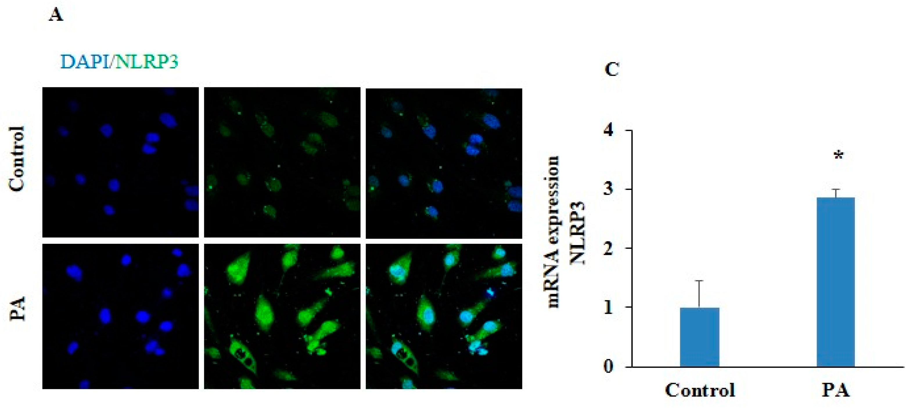 Pharmaceuticals 17 01568 g004a