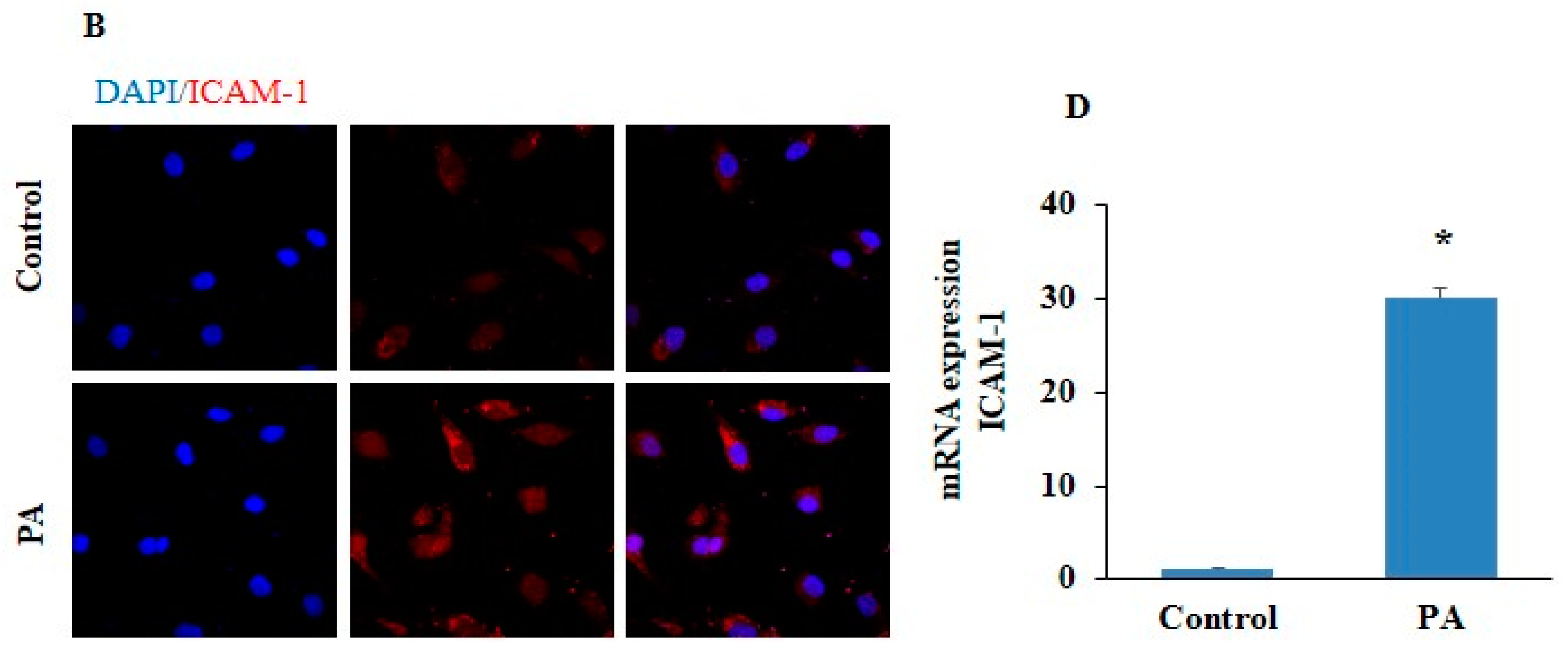 Pharmaceuticals 17 01568 g004b