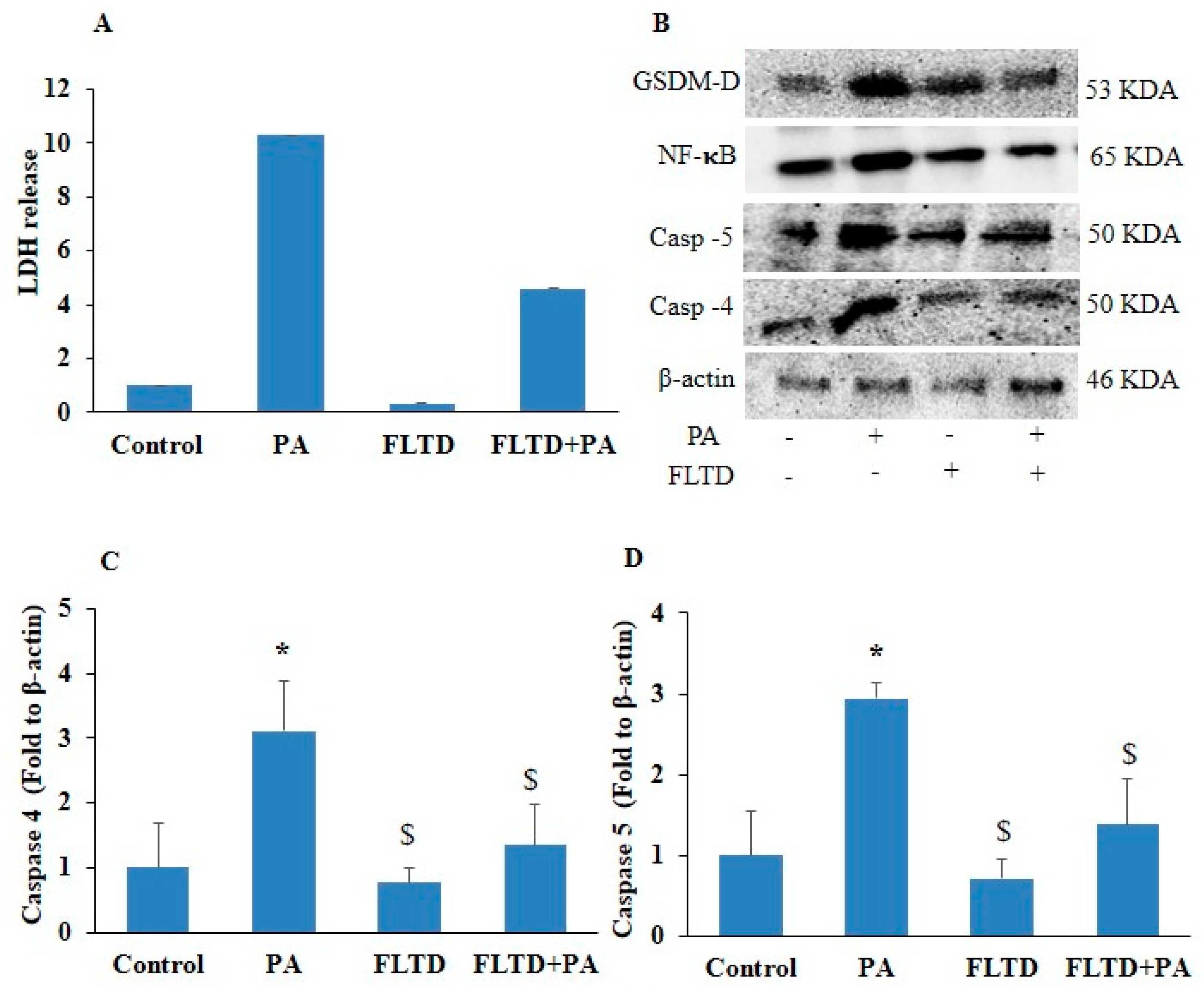 Pharmaceuticals 17 01568 g006a