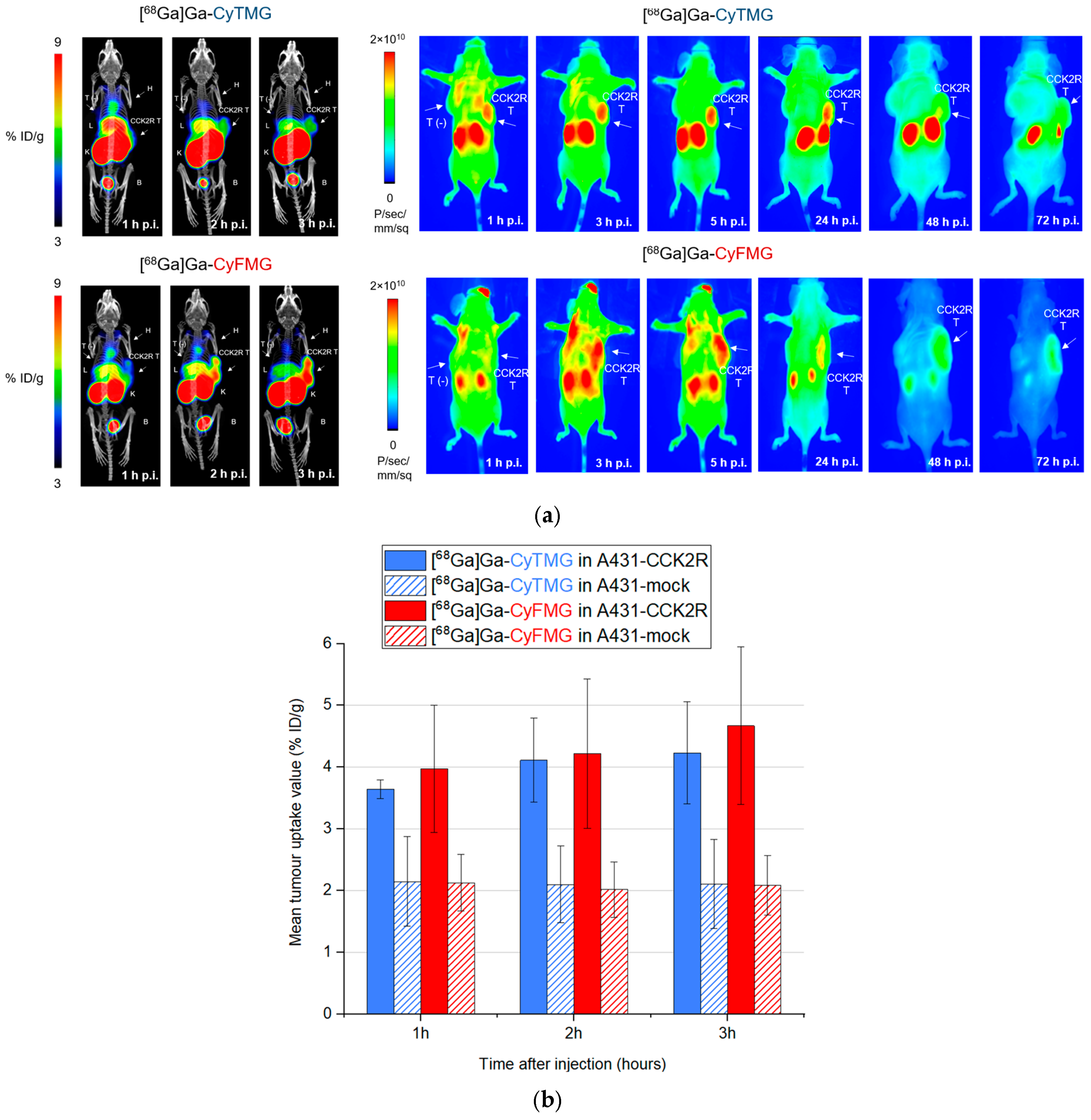 Pharmaceuticals 17 01569 g008