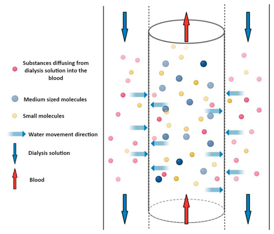 CRRT Is More Than Just Continuous Renal Replacement Therapy