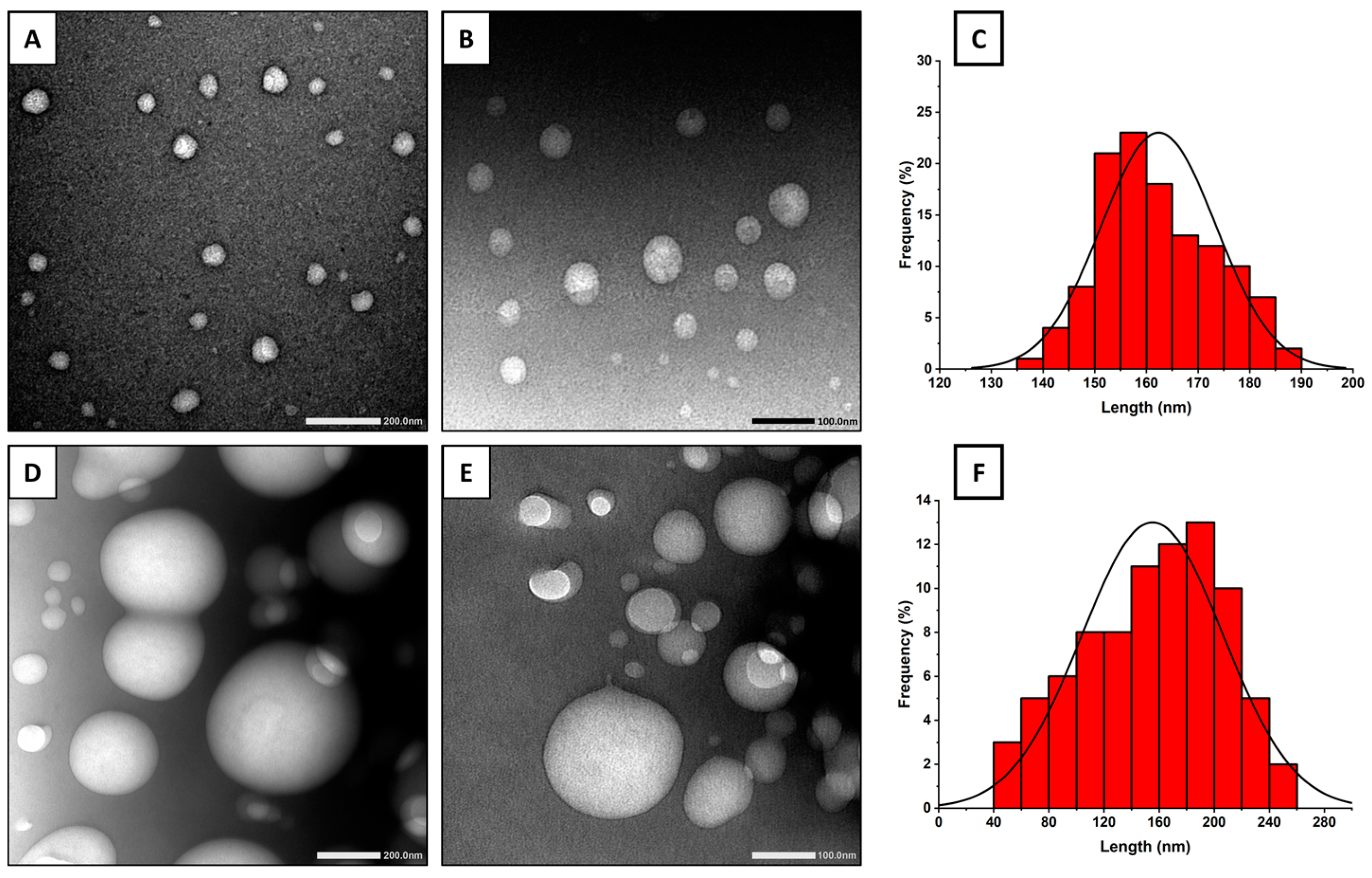 Pharmaceuticals 17 01572 g002