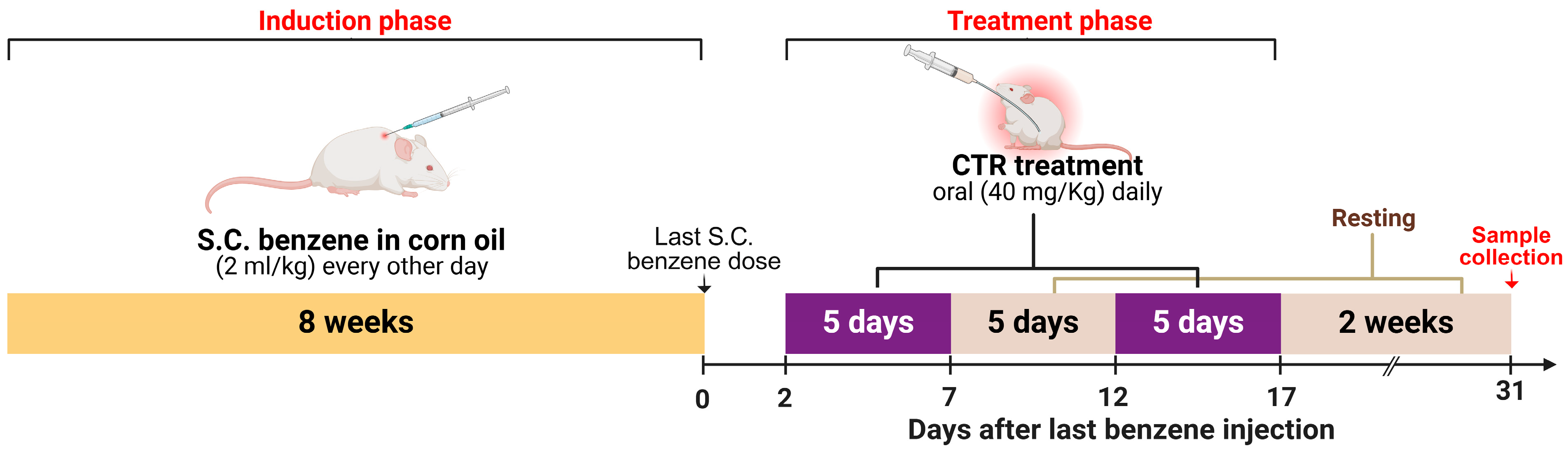 Pharmaceuticals 17 01572 g007