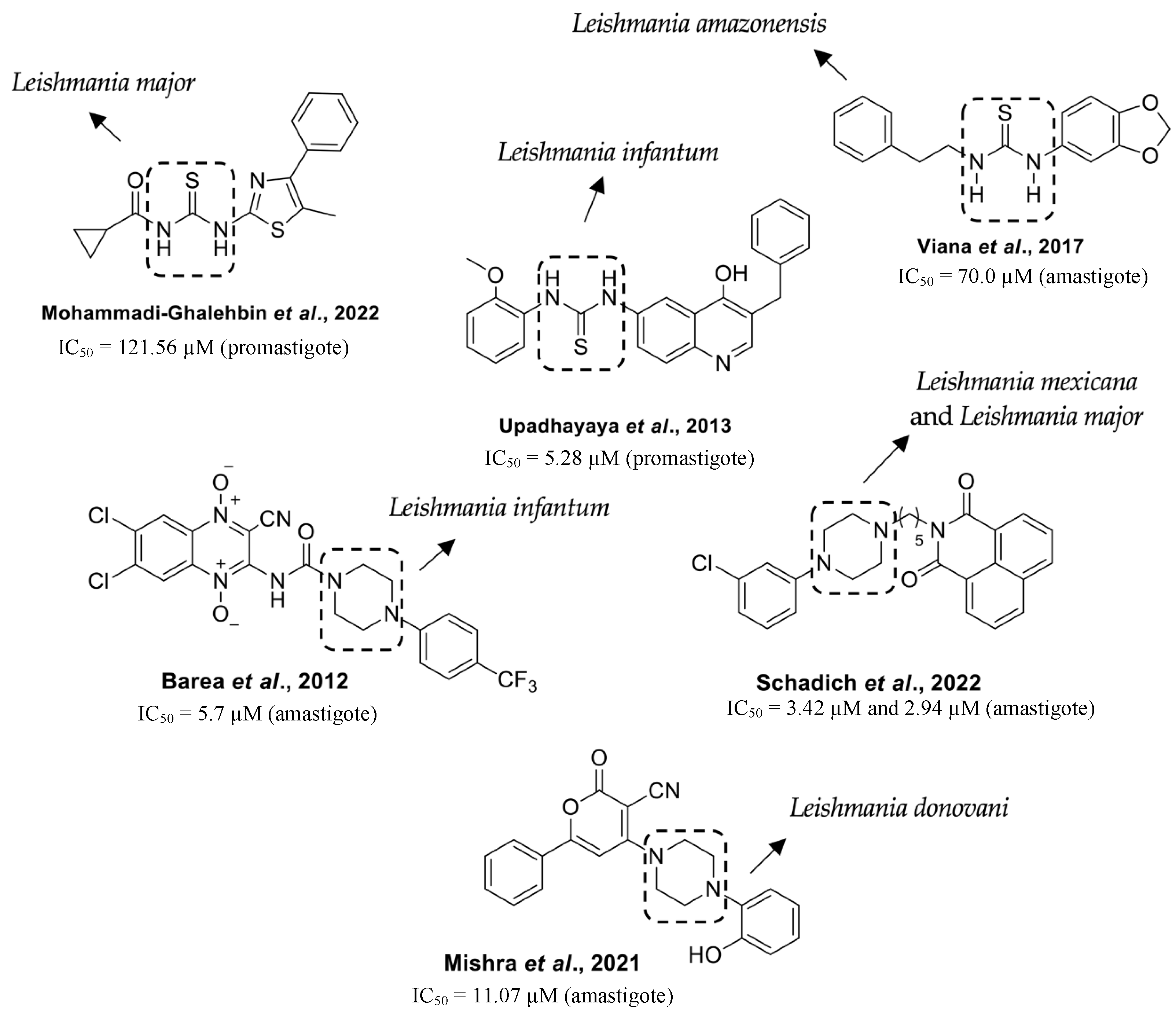 Pharmaceuticals 17 01573 g001