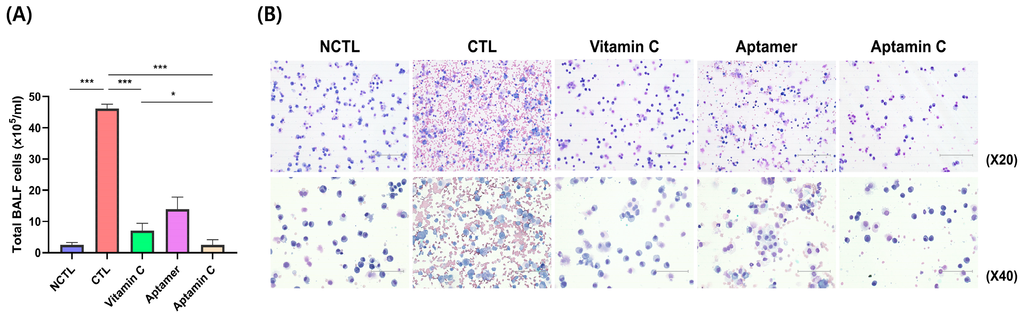 Pharmaceuticals 17 01577 g002
