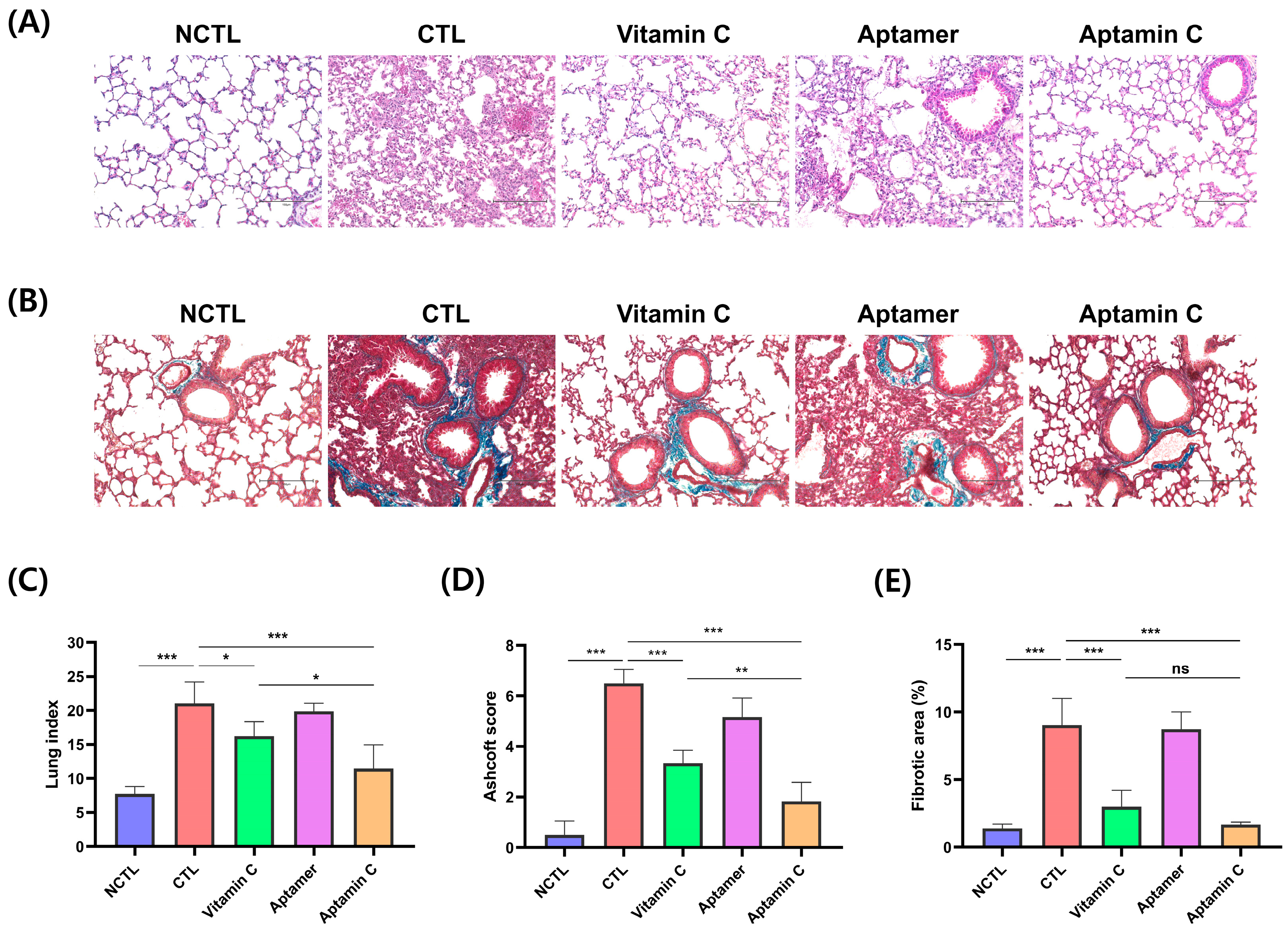 Pharmaceuticals 17 01577 g003