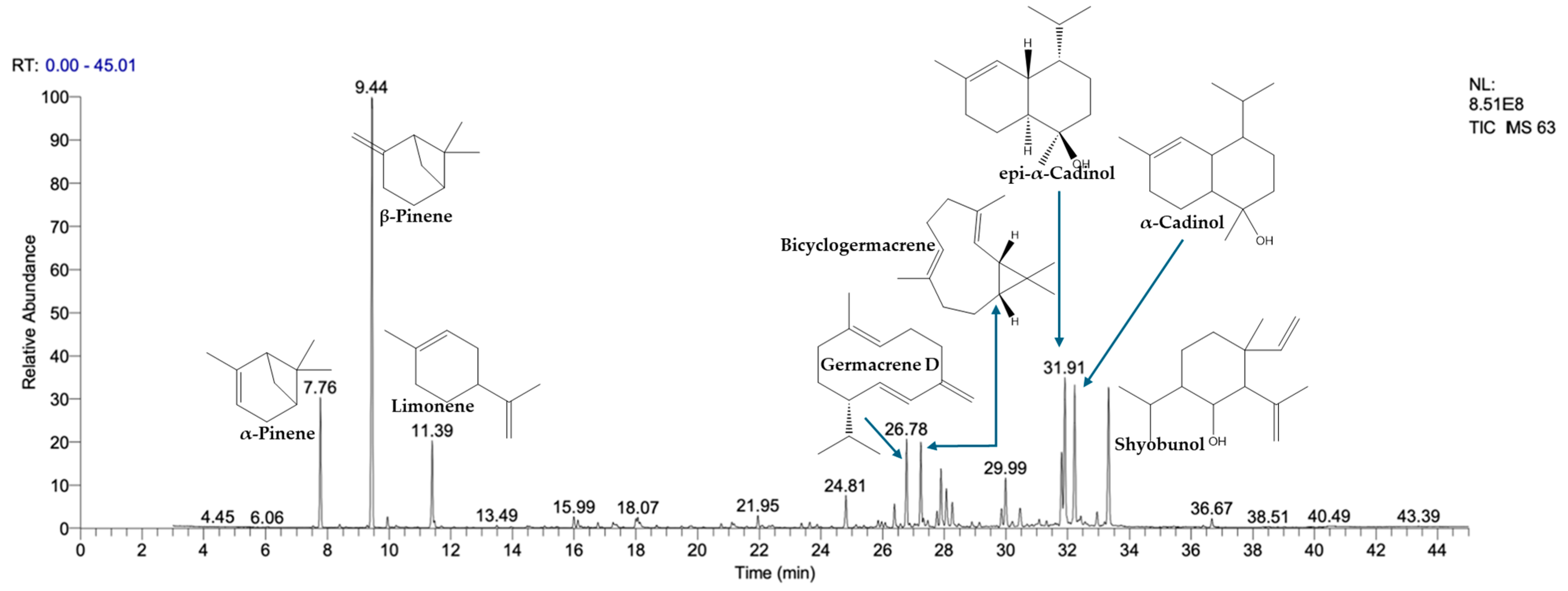 Pharmaceuticals 17 01578 g001
