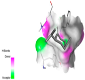 Pharmaceuticals 17 01578 i002