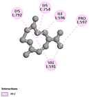 Pharmaceuticals 17 01578 i003