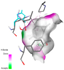 Pharmaceuticals 17 01578 i006