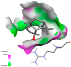 Pharmaceuticals 17 01578 i008