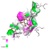Pharmaceuticals 17 01578 i050