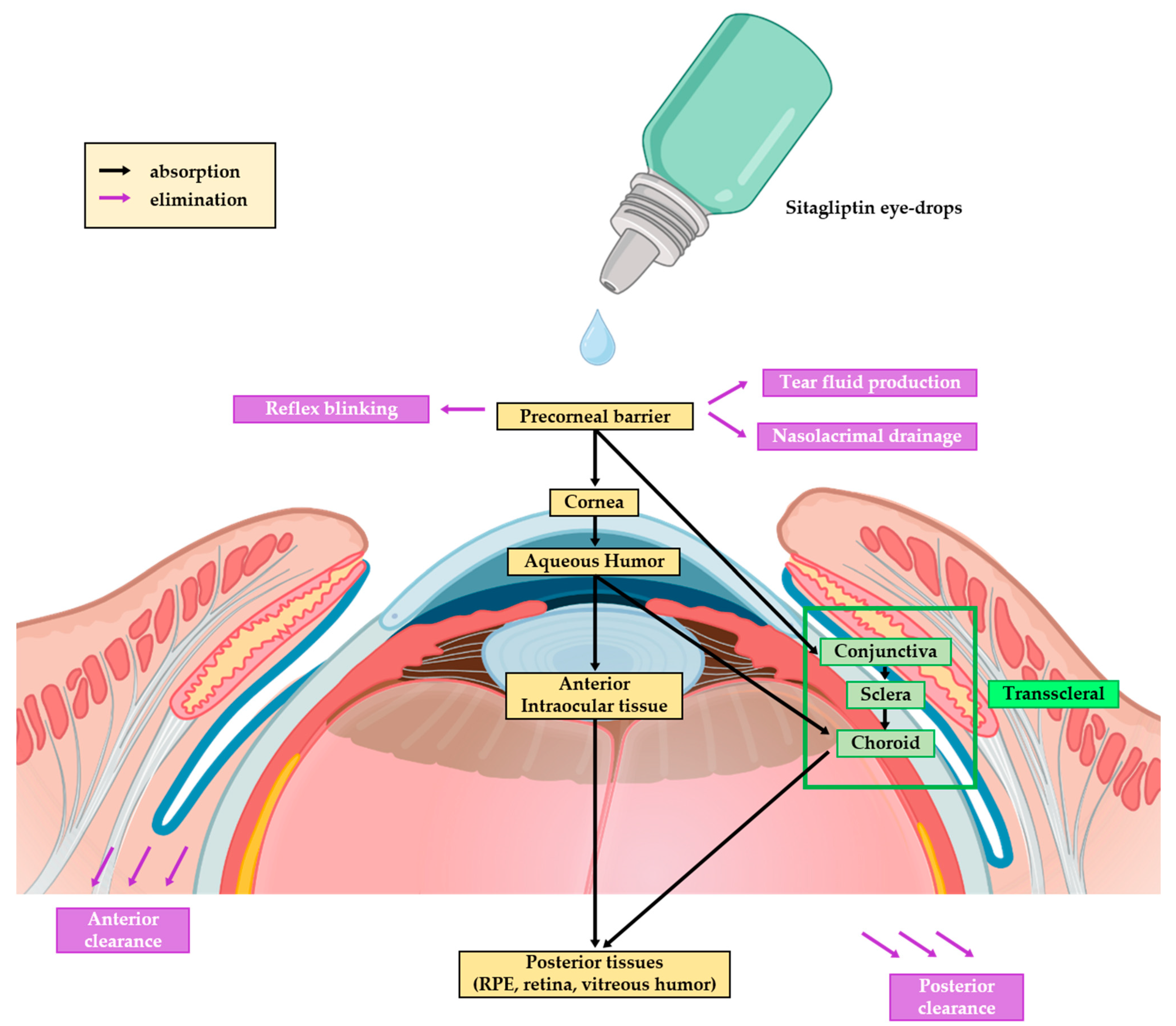 Pharmaceuticals 17 01579 g005