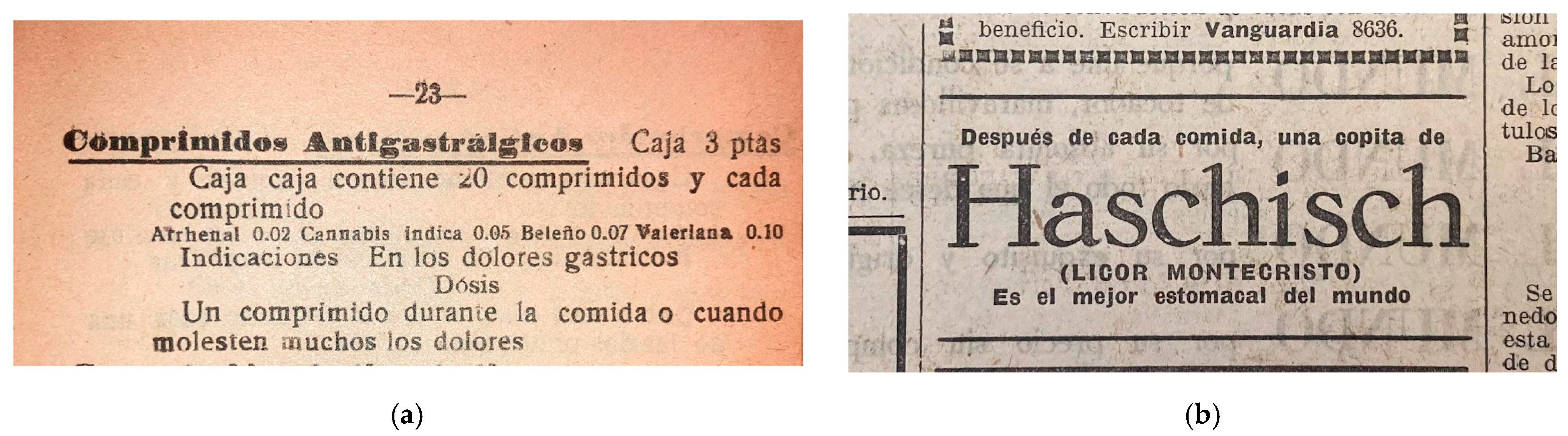 Pharmaceuticals 17 01585 g001