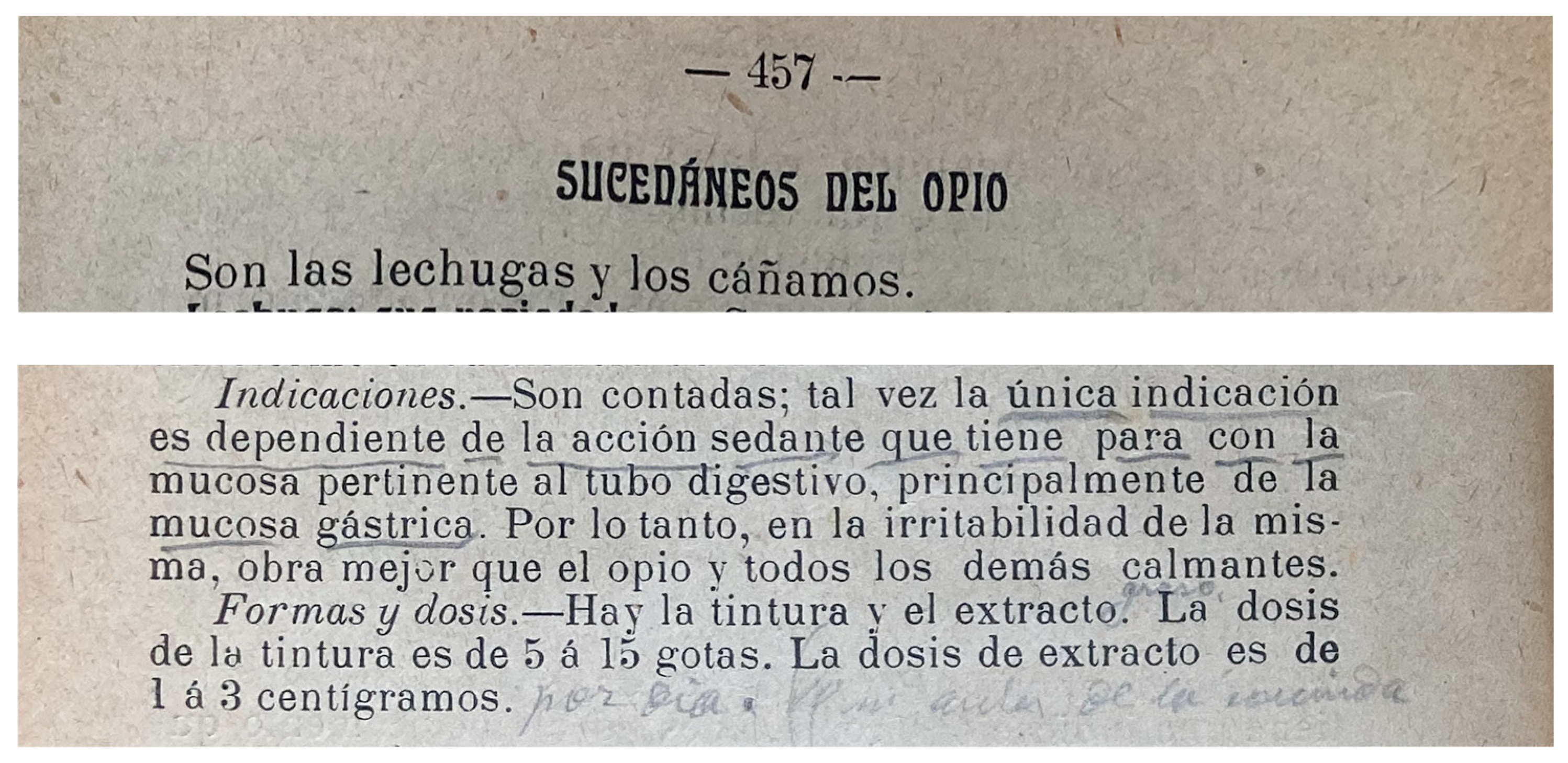 Pharmaceuticals 17 01585 g002