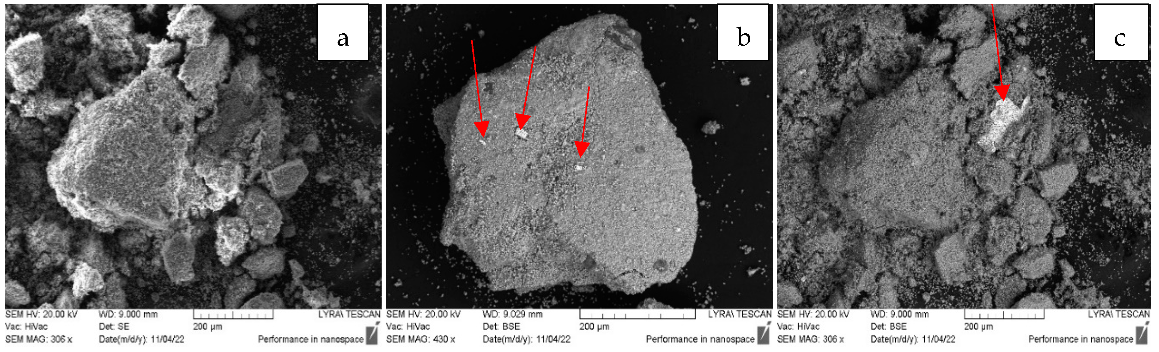 Pharmaceuticals 17 01586 g001