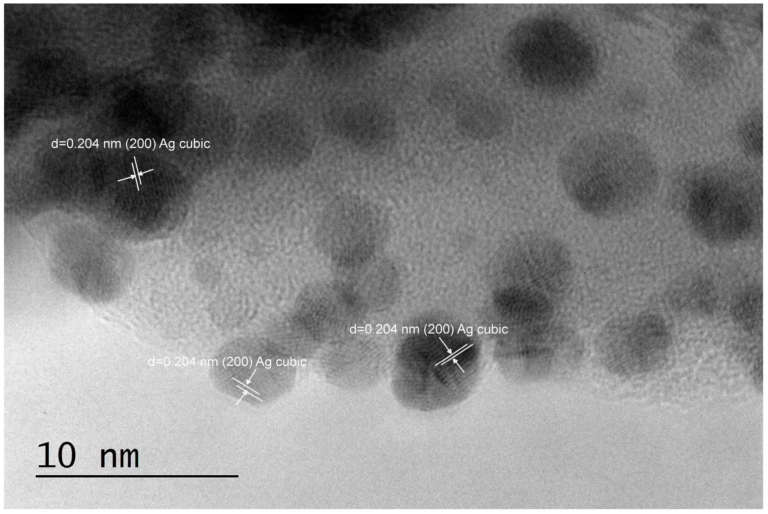 Pharmaceuticals 17 01586 g002a