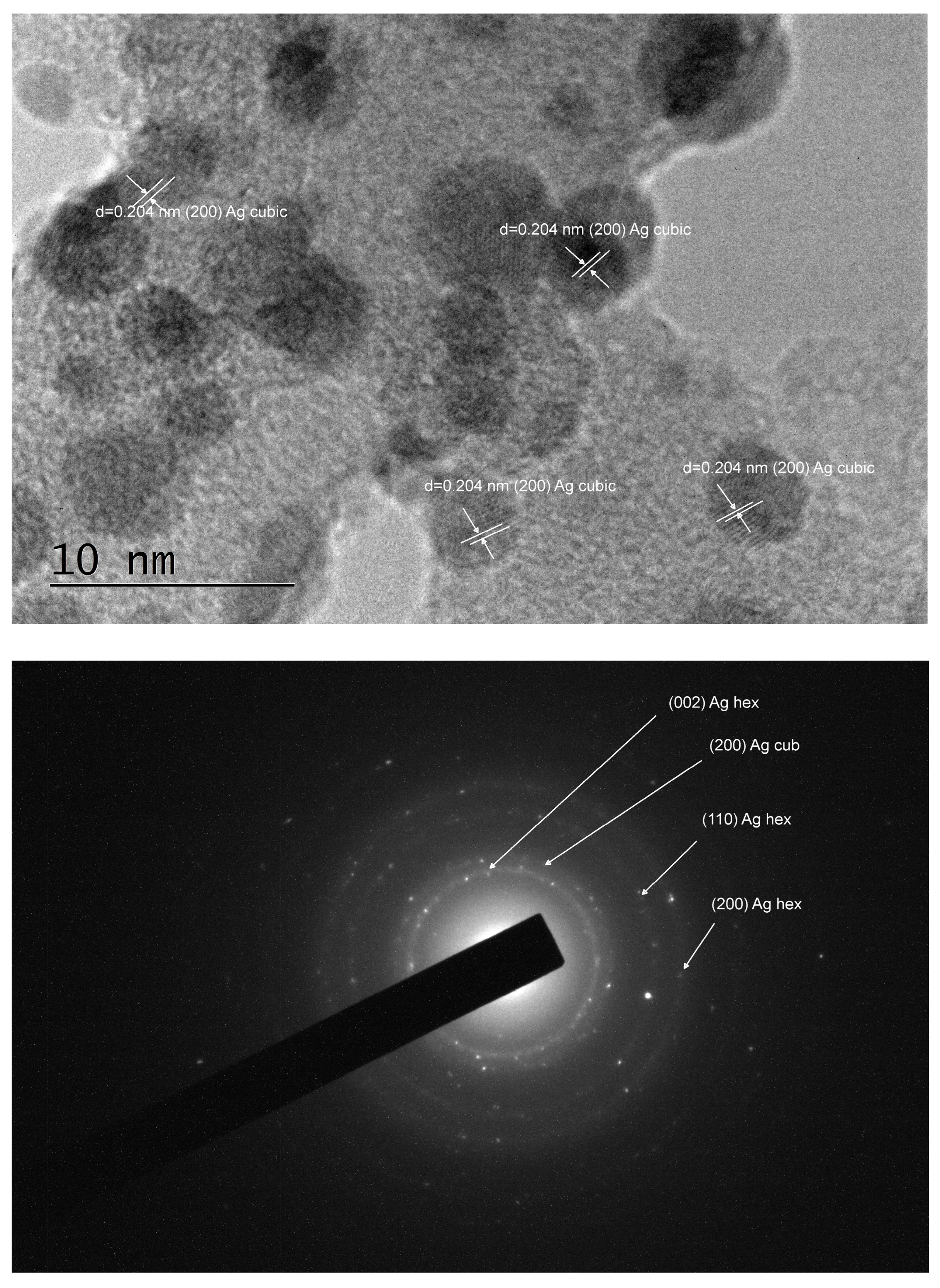 Pharmaceuticals 17 01586 g002b
