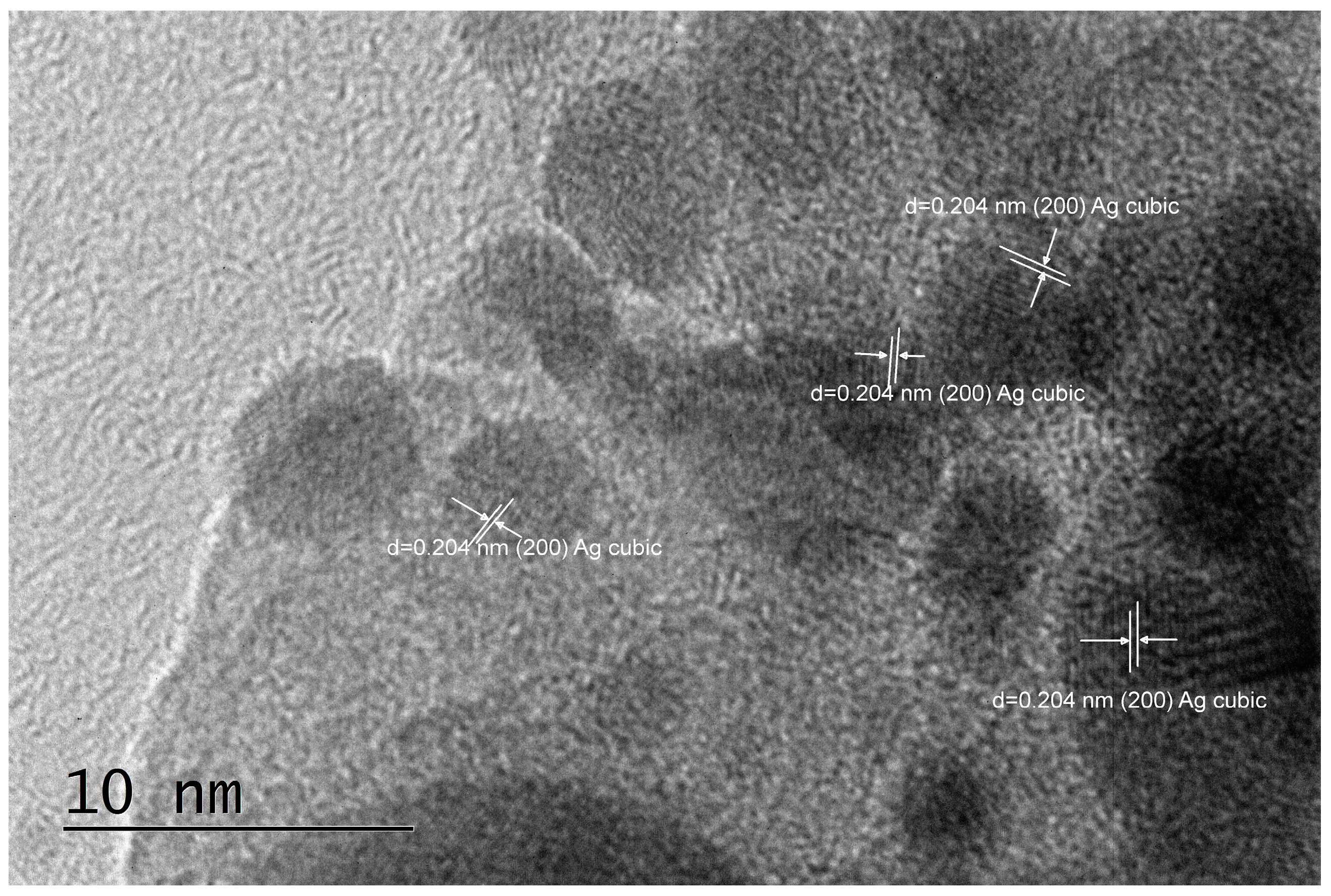 Pharmaceuticals 17 01586 g003a