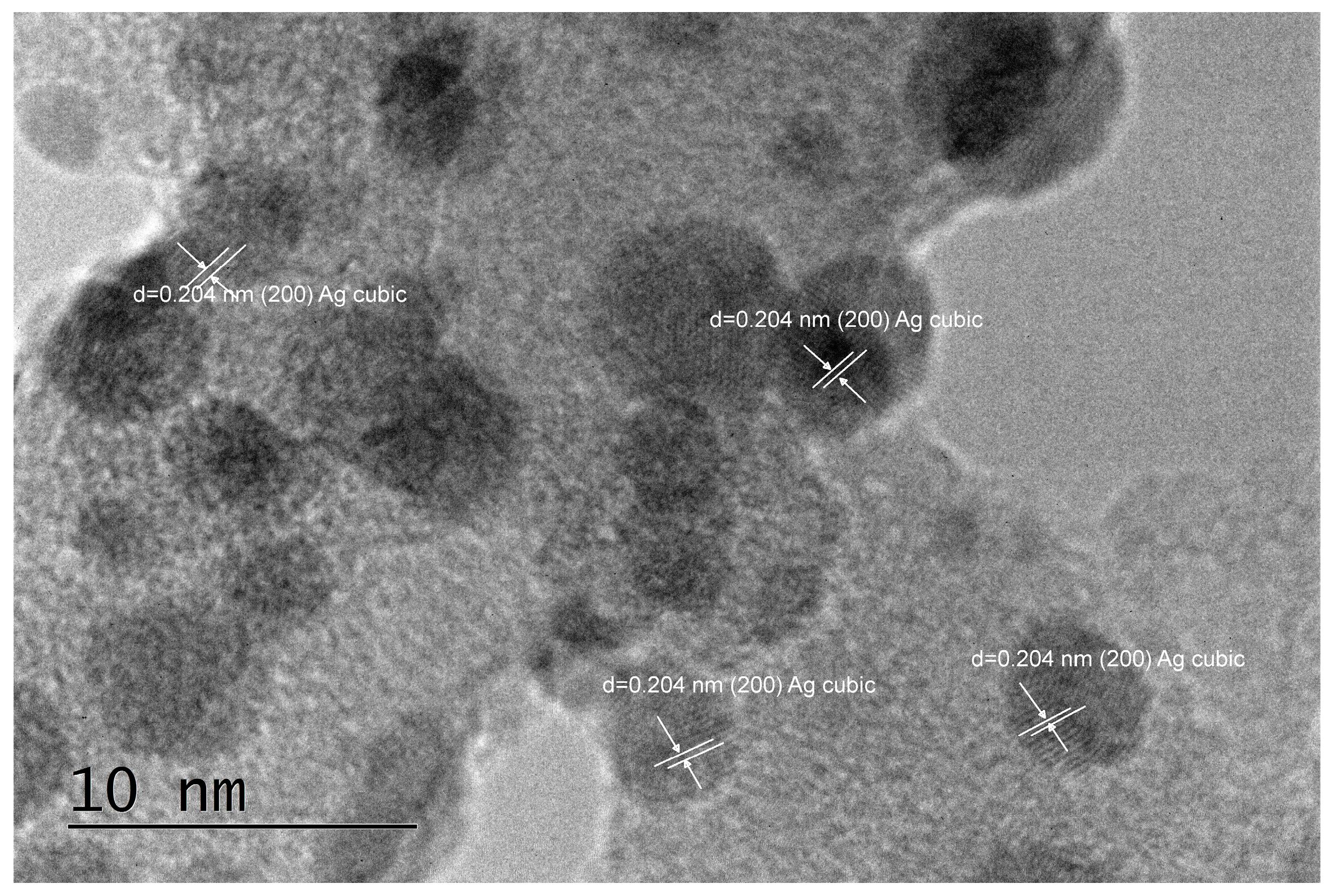 Pharmaceuticals 17 01586 g003b