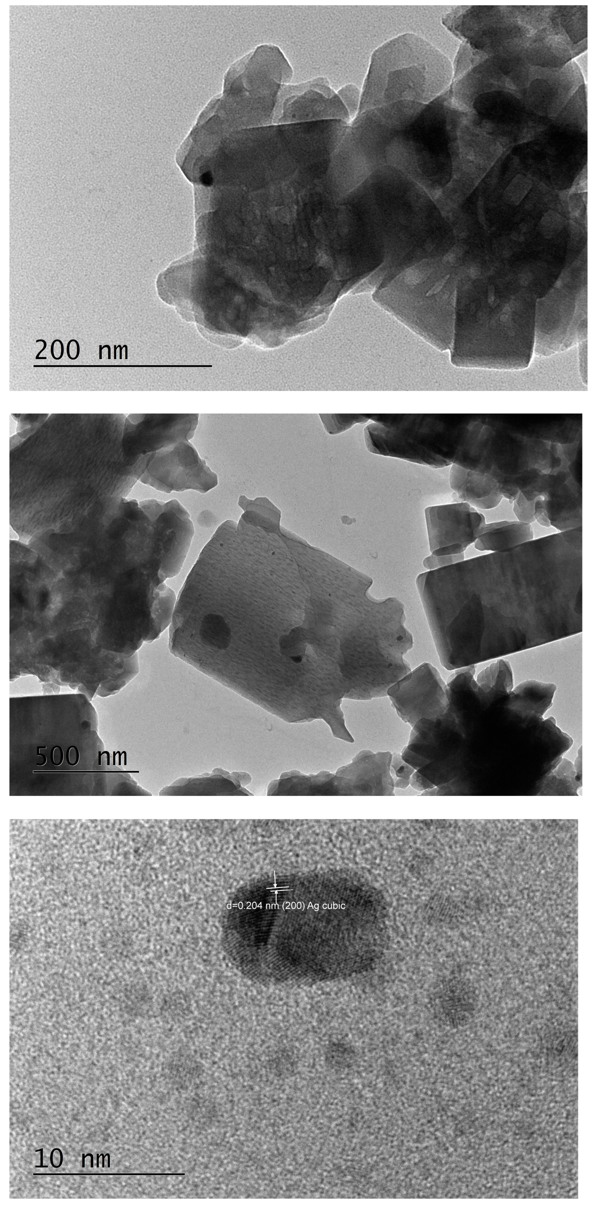 Pharmaceuticals 17 01586 g005