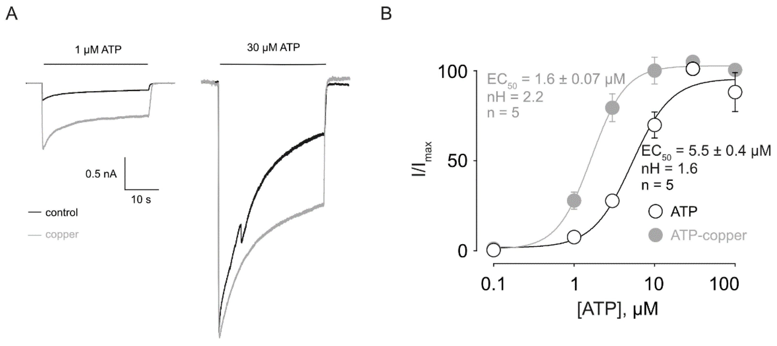 Pharmaceuticals 17 01590 g001 Pharmaceuticals 17 01590 g001