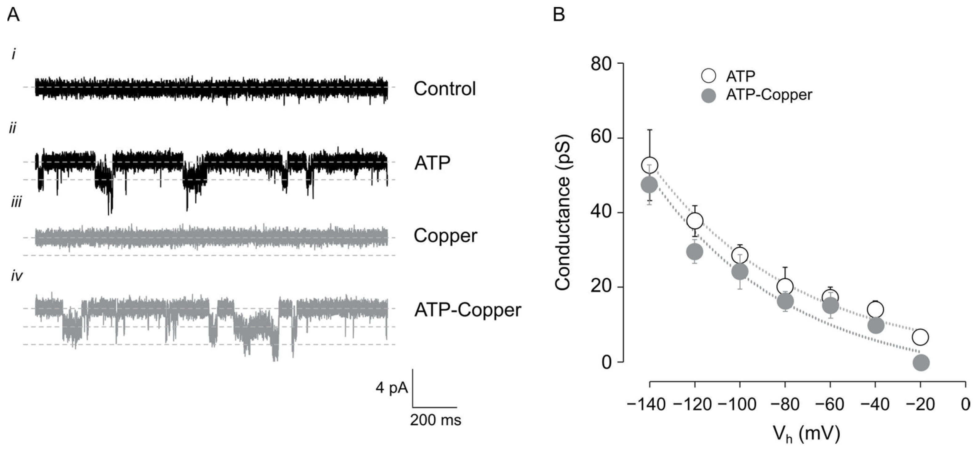 Pharmaceuticals 17 01590 g002 Pharmaceuticals 17 01590 g002