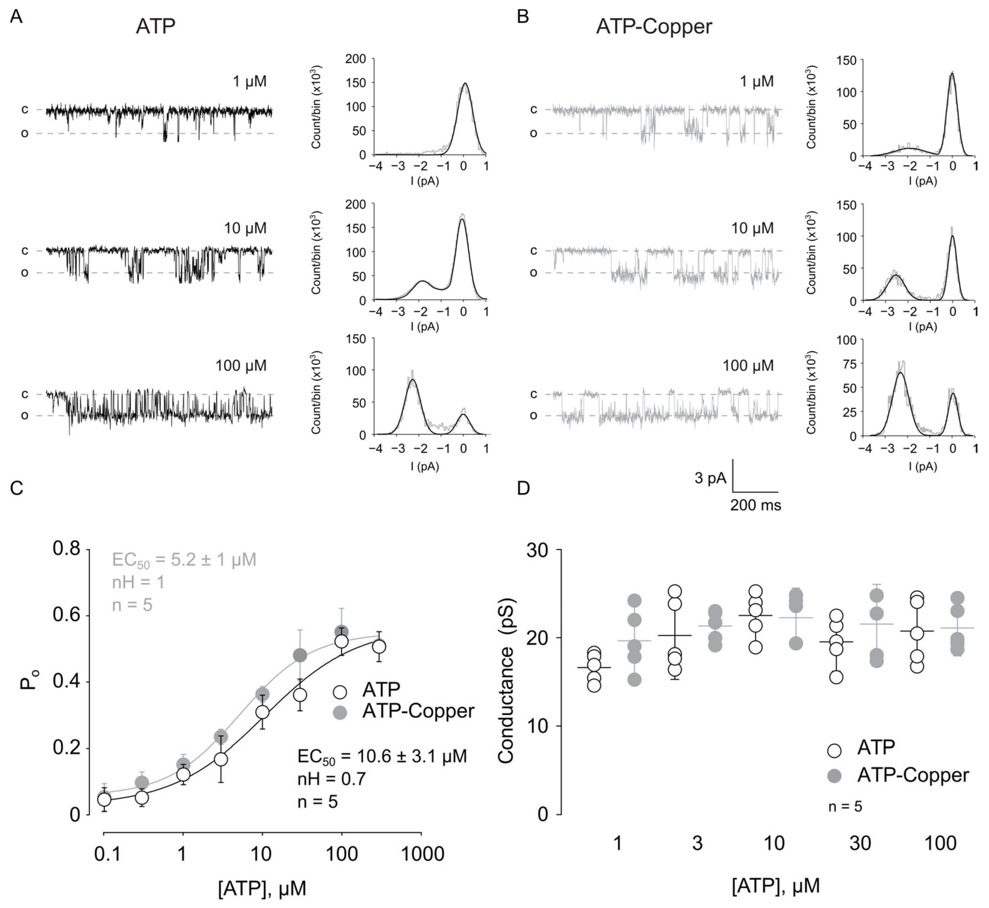 Pharmaceuticals 17 01590 g003 Pharmaceuticals 17 01590 g003